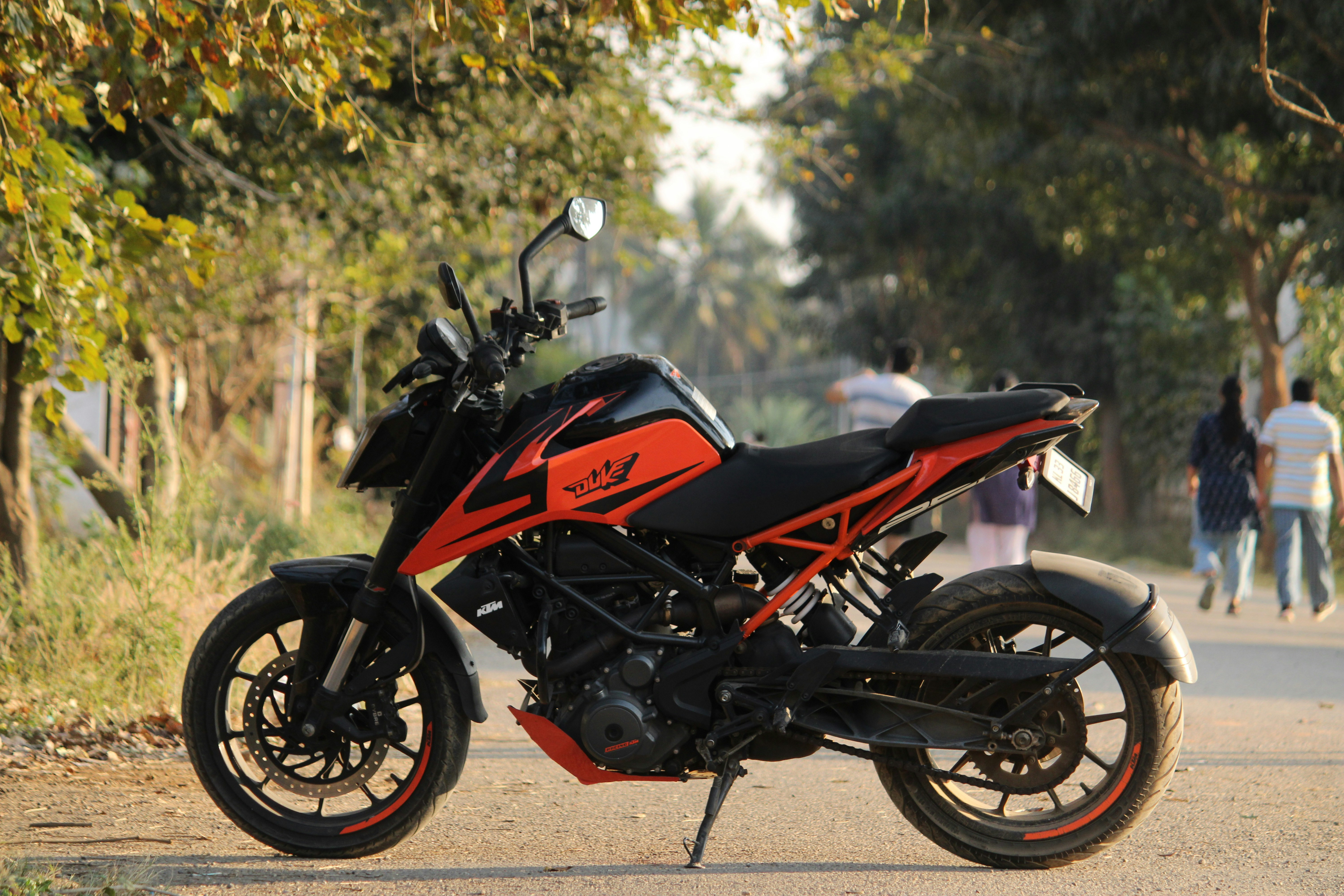 Photo by jibinpmathew787