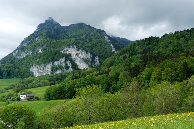 Jura