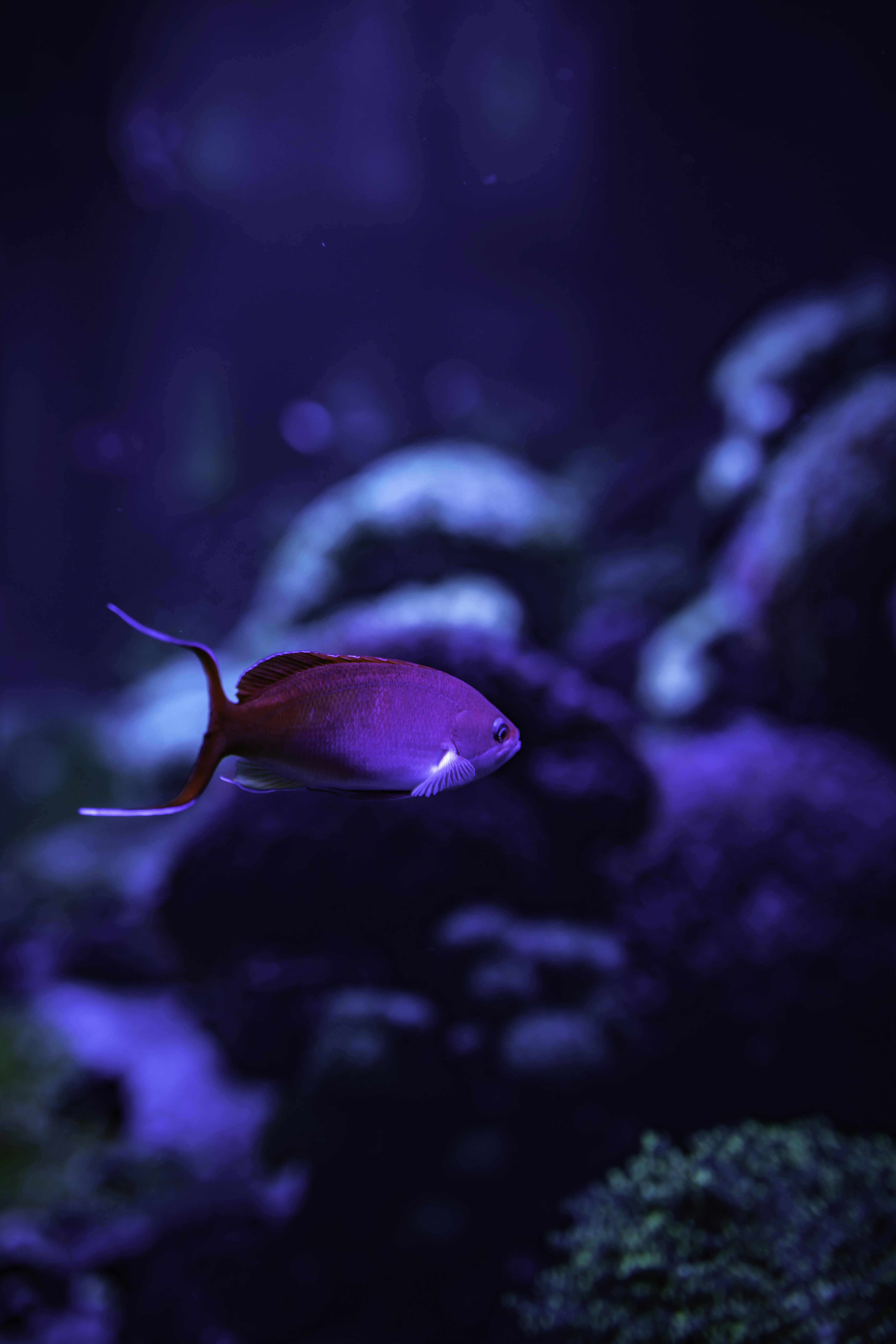 Photo by winstontjia