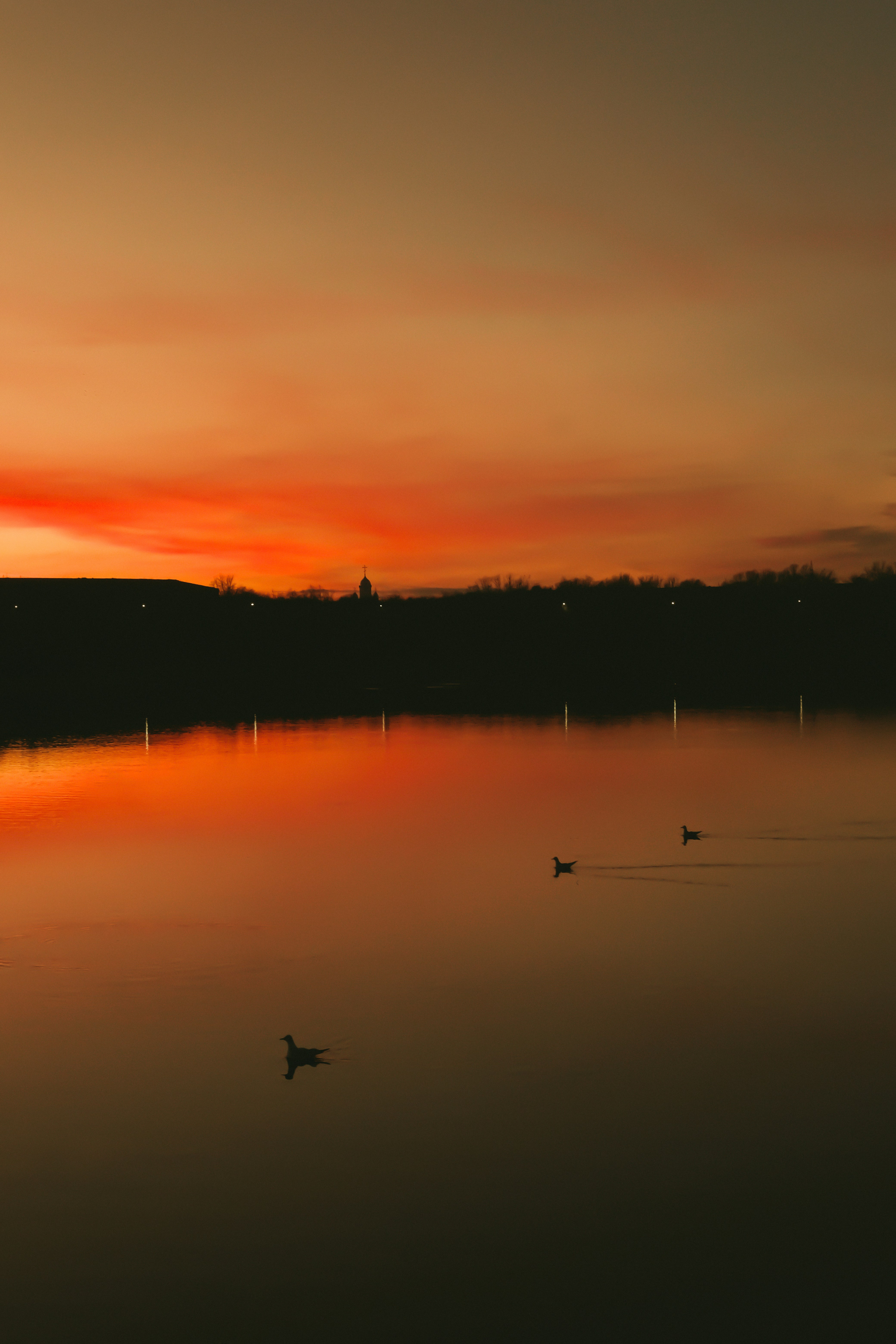 Ein Sonnenuntergang über einem See mit Enten, die im Wasser schwimmen