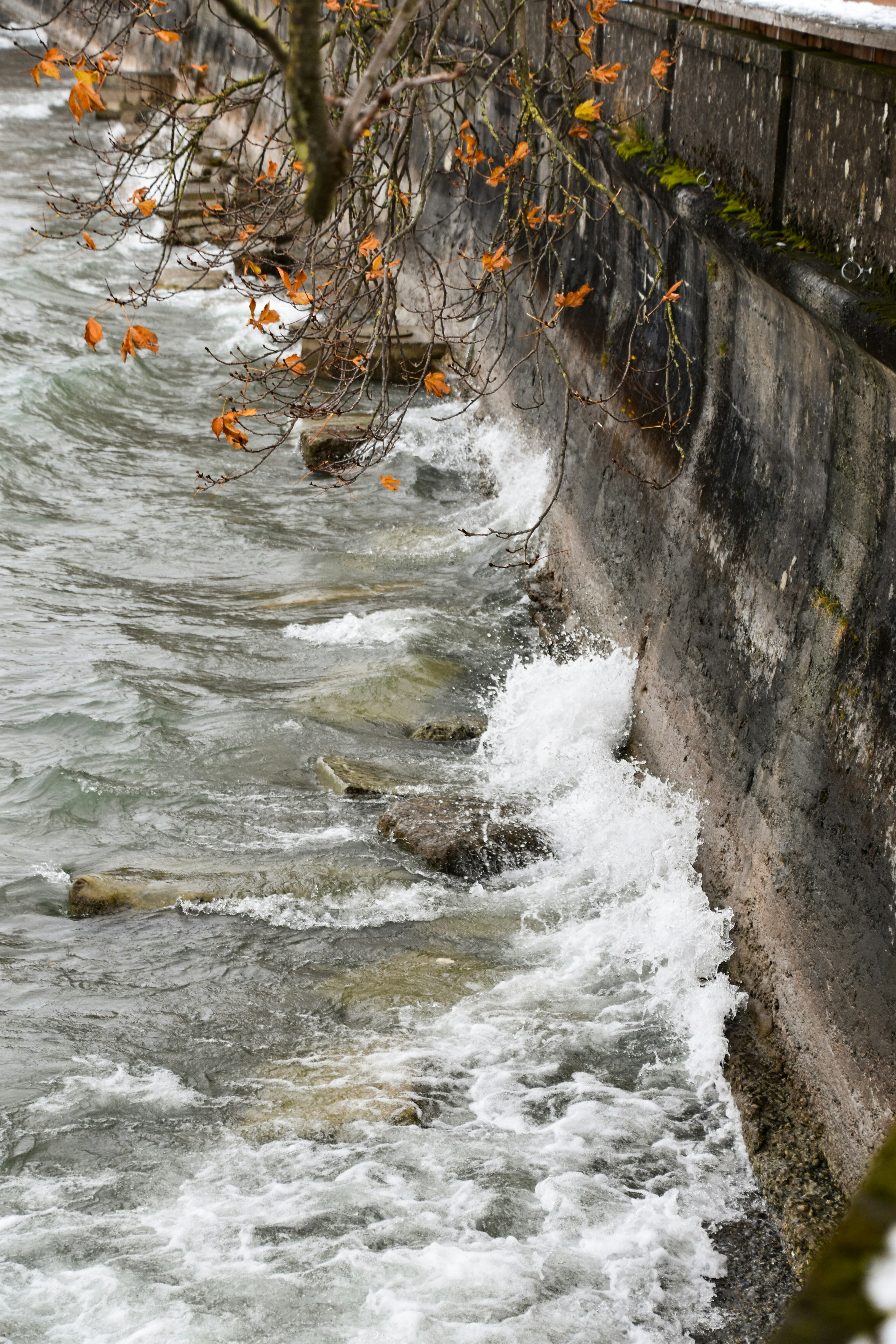 A man standing next to a body of water