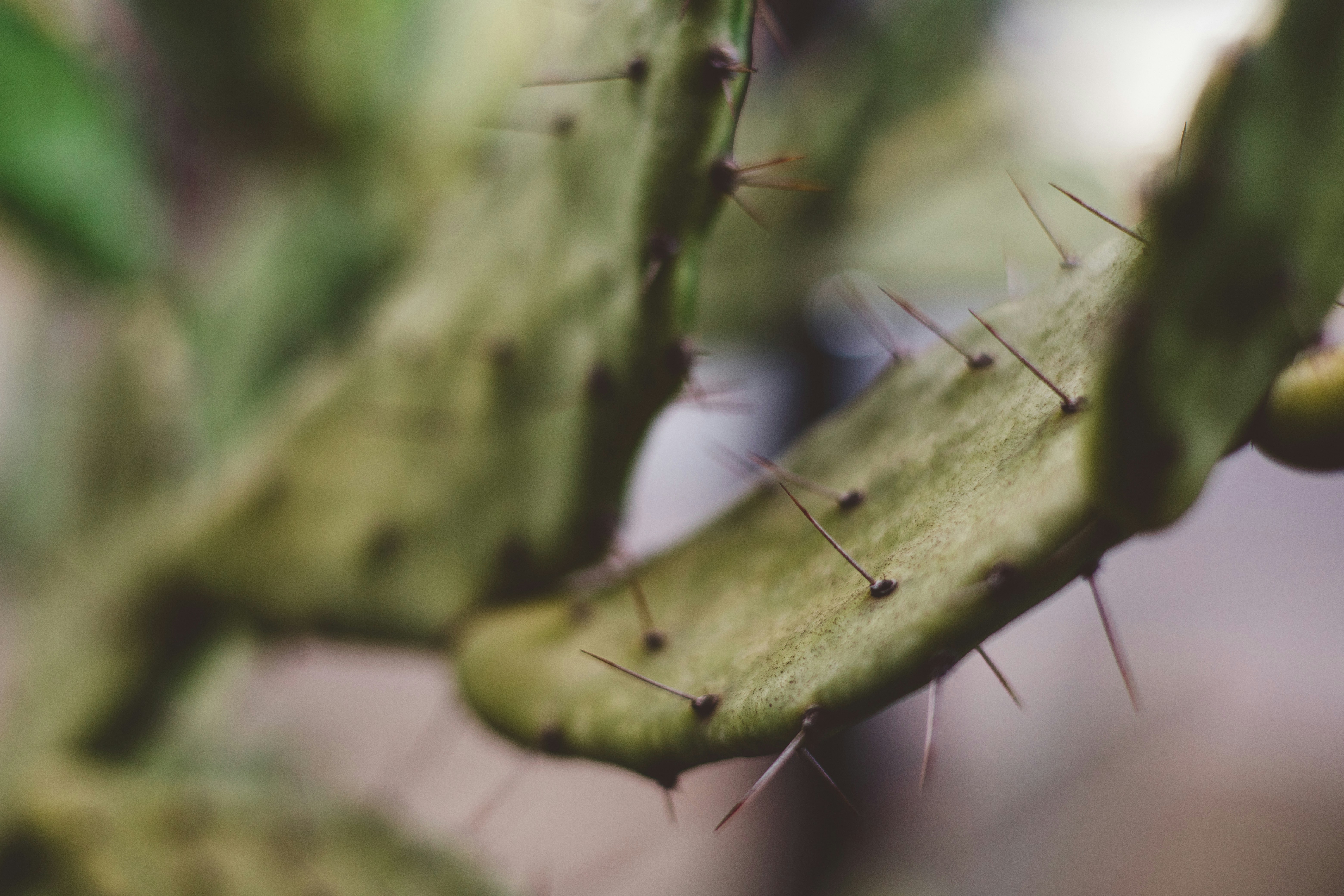 Photo by rrodriguesim