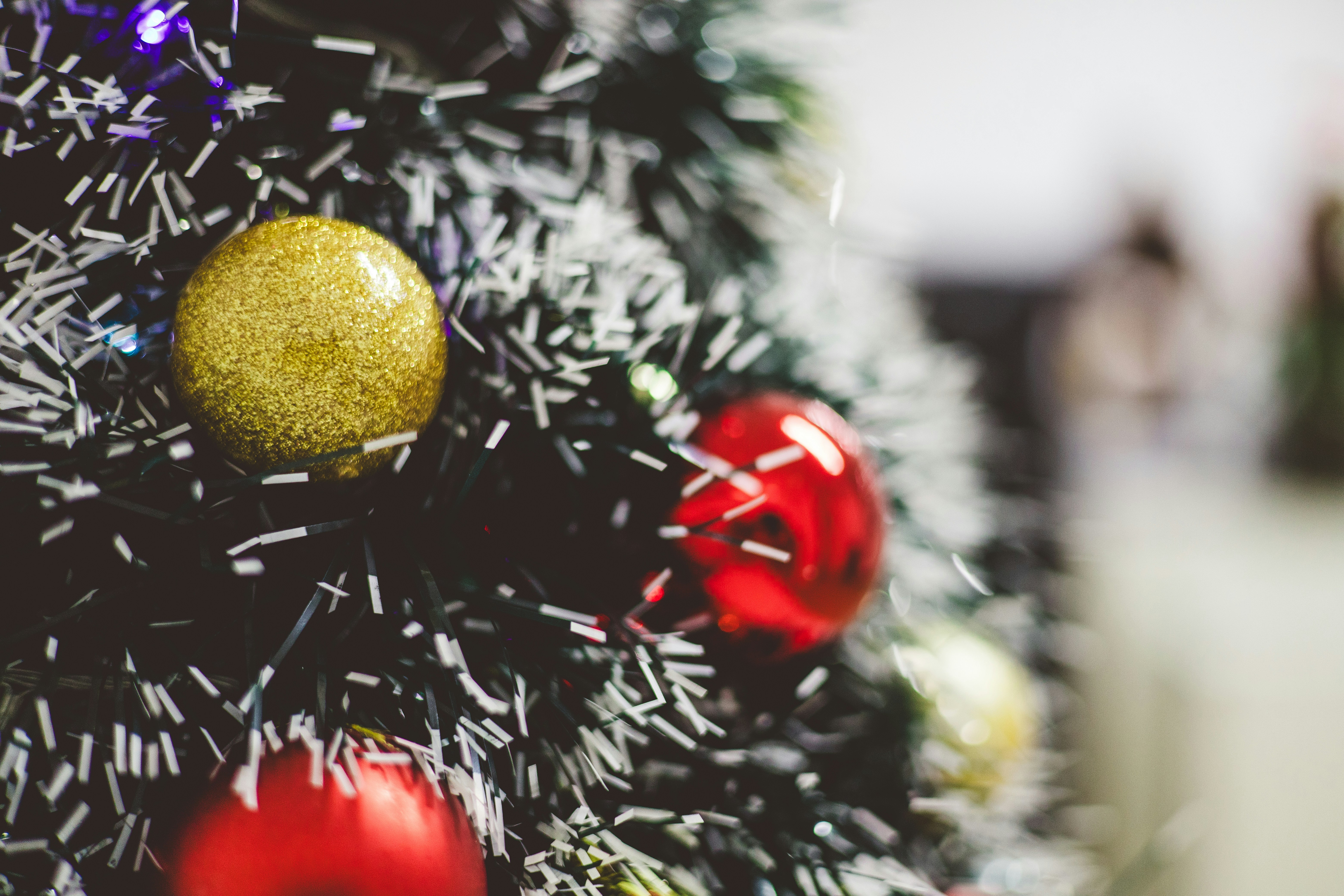 Photo by rrodriguesim