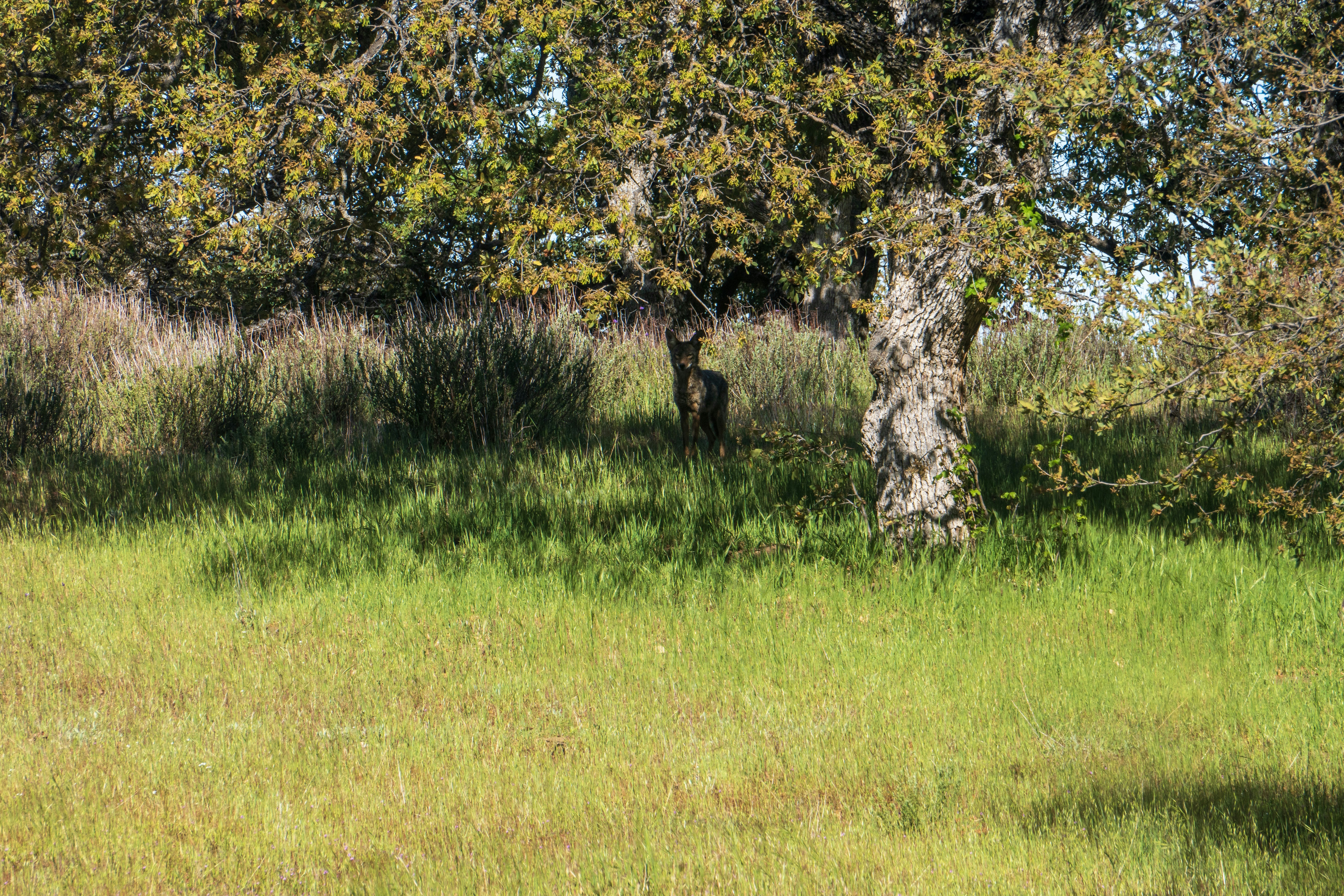 Photo by pmayorphotos