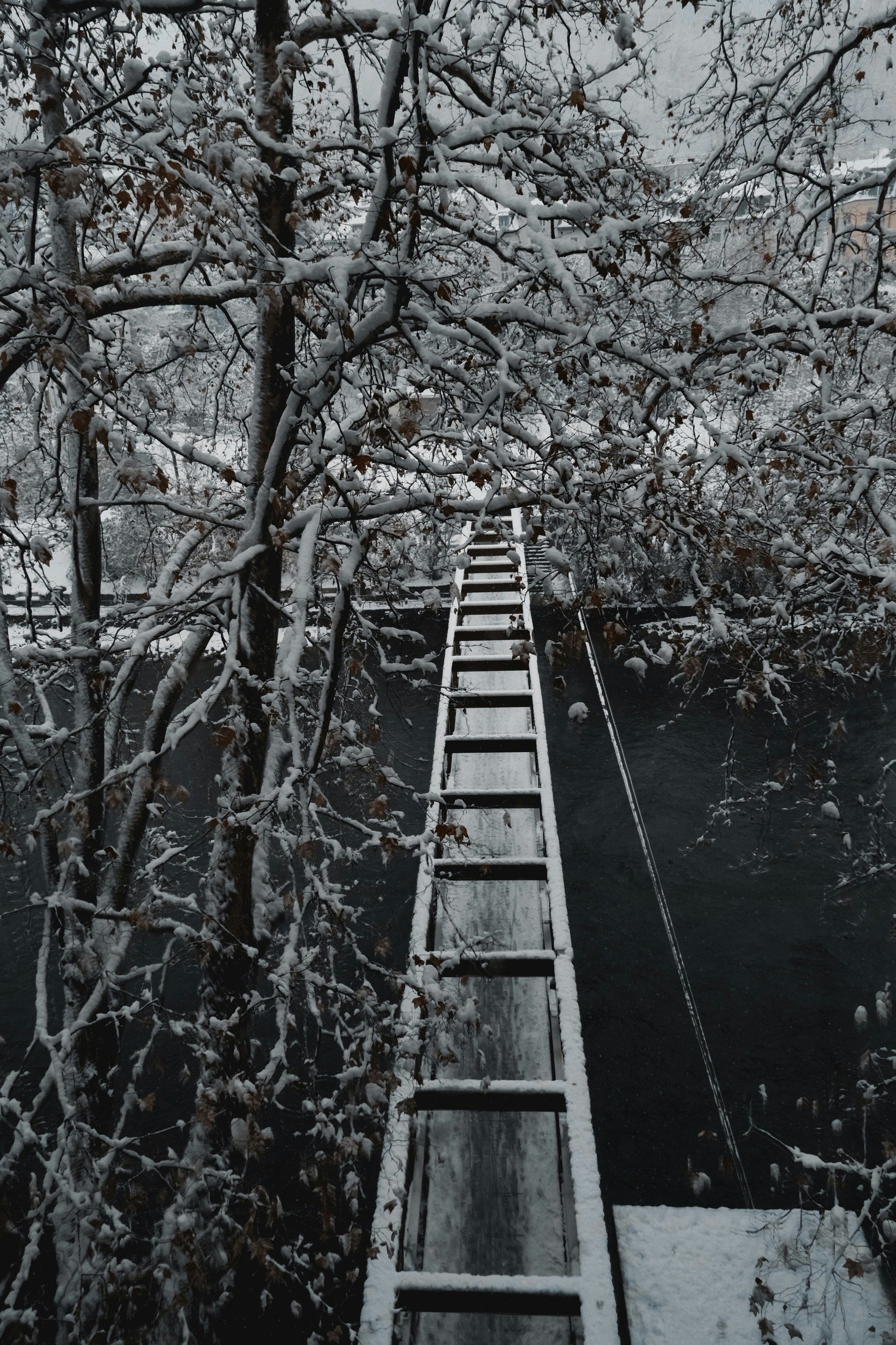 Photo by Yingying Chen