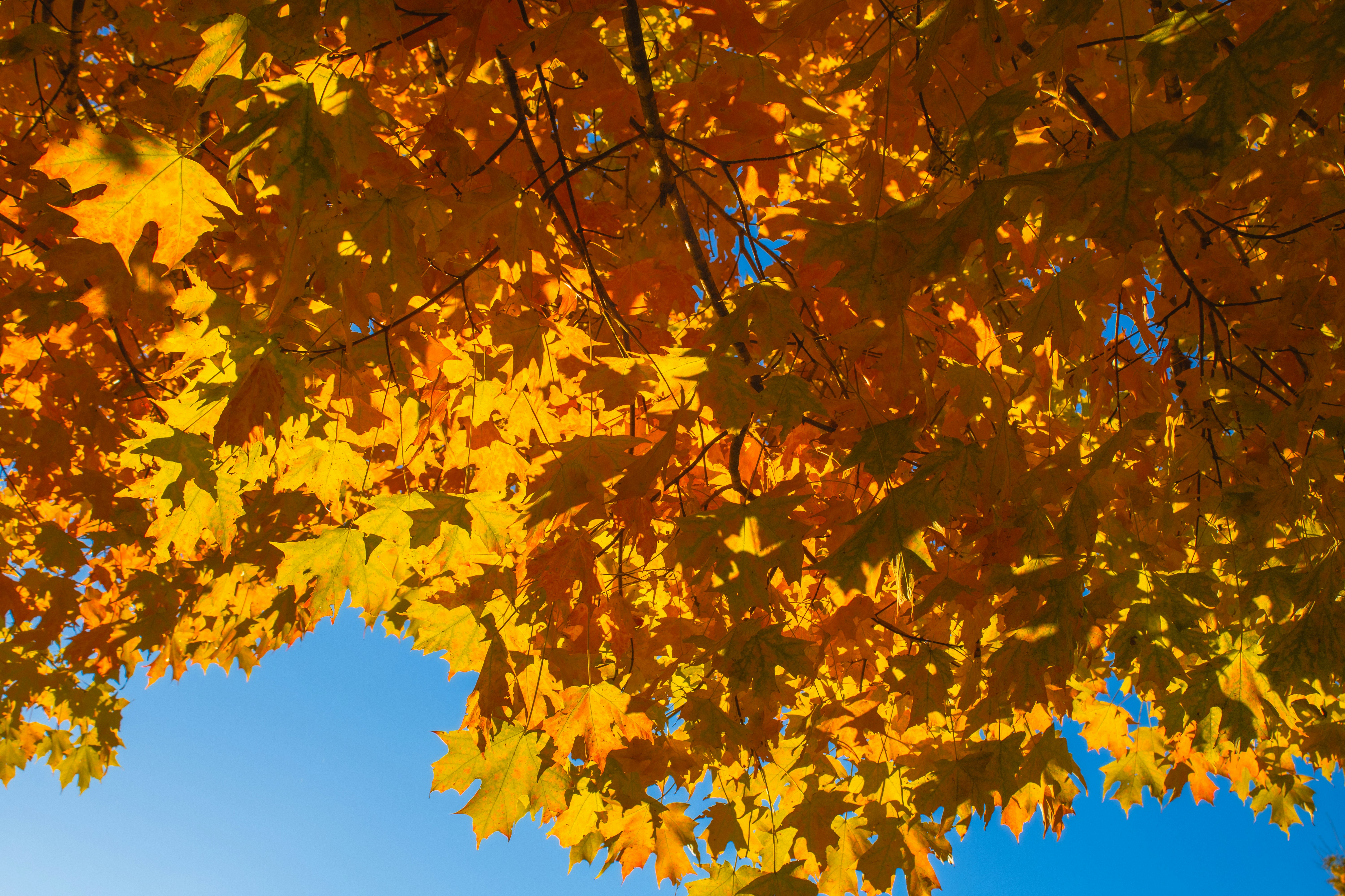 Photo by paigelaineelmer_photos