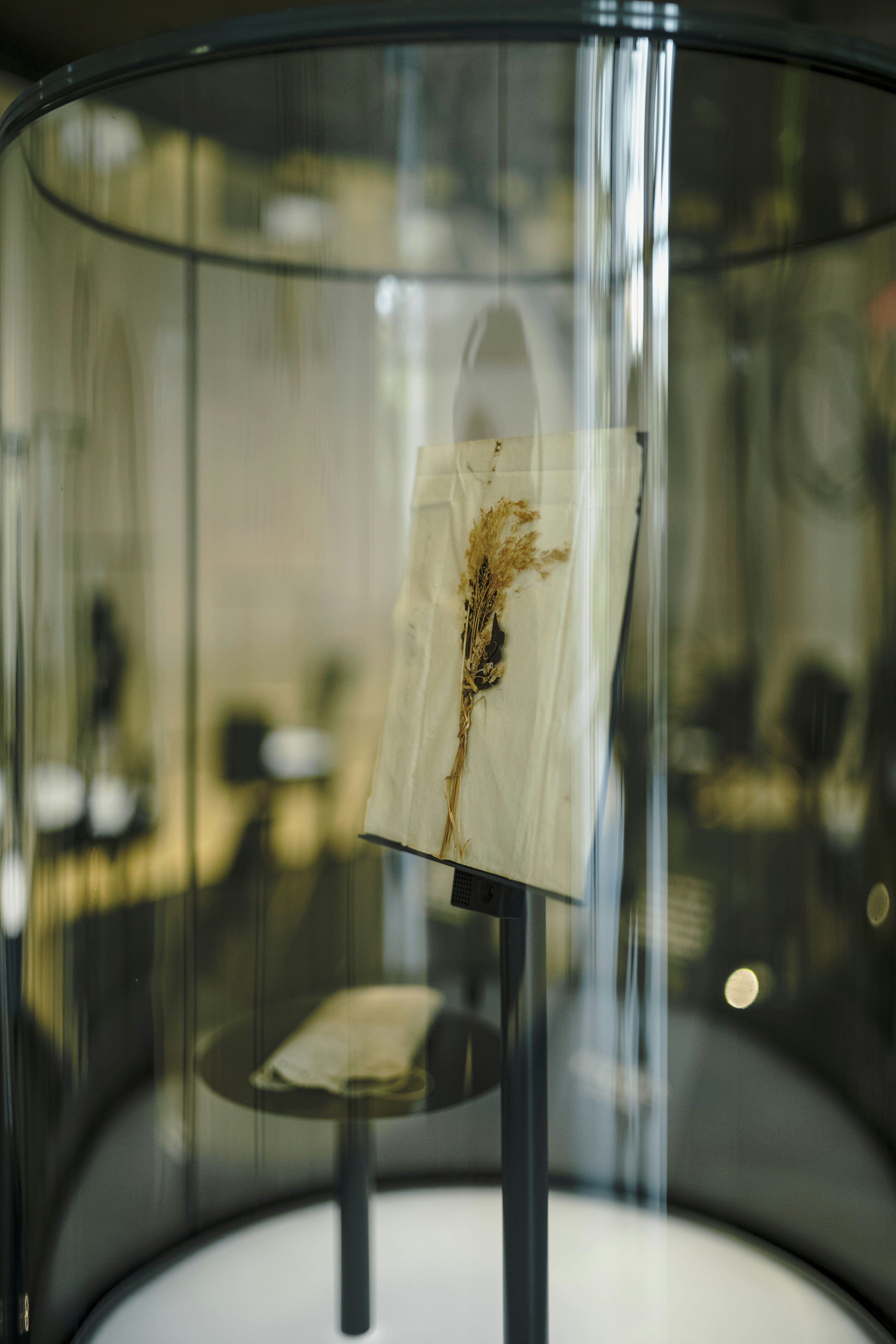 Photo by tommaomaoer