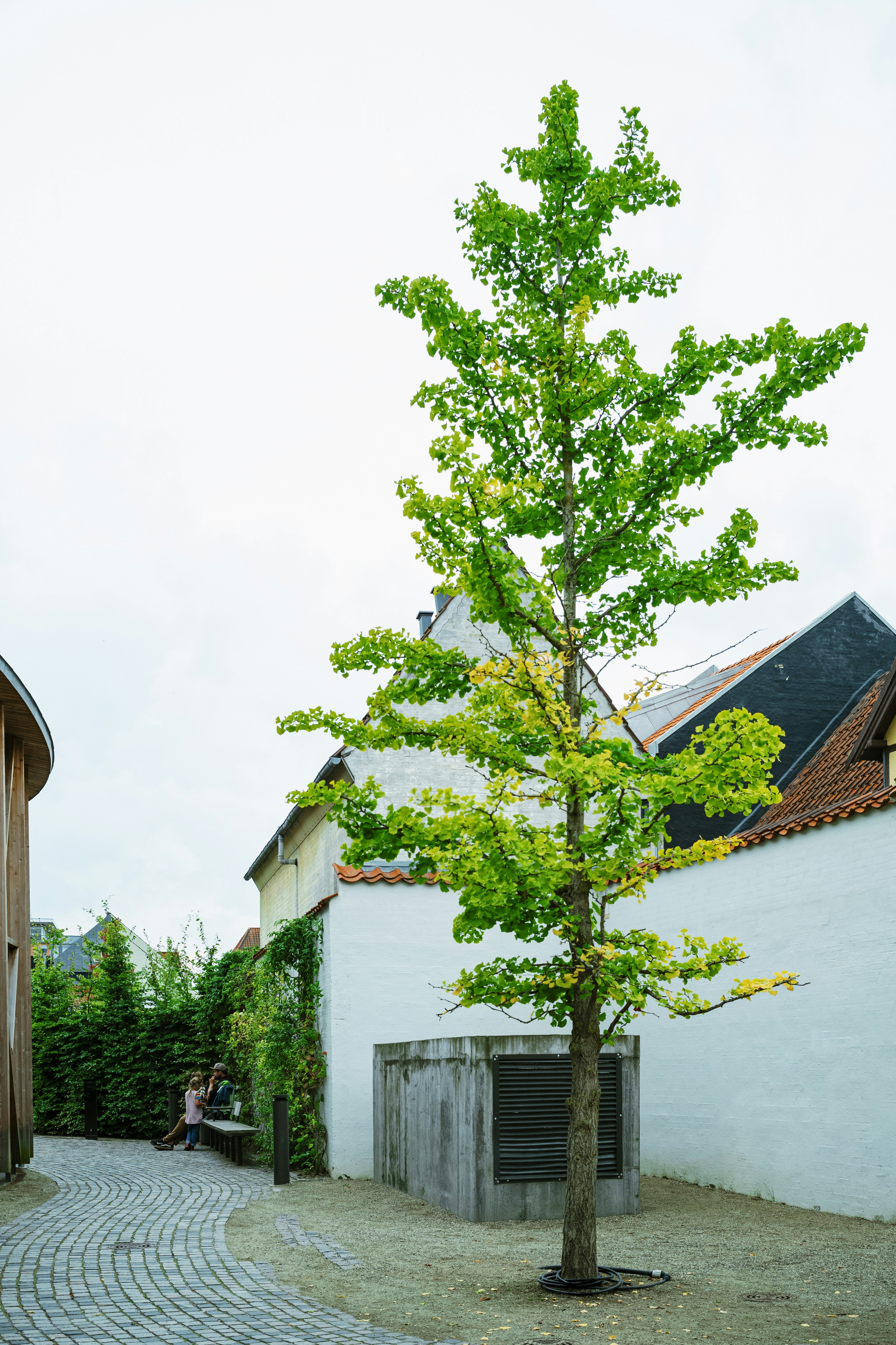 Photo by tommaomaoer