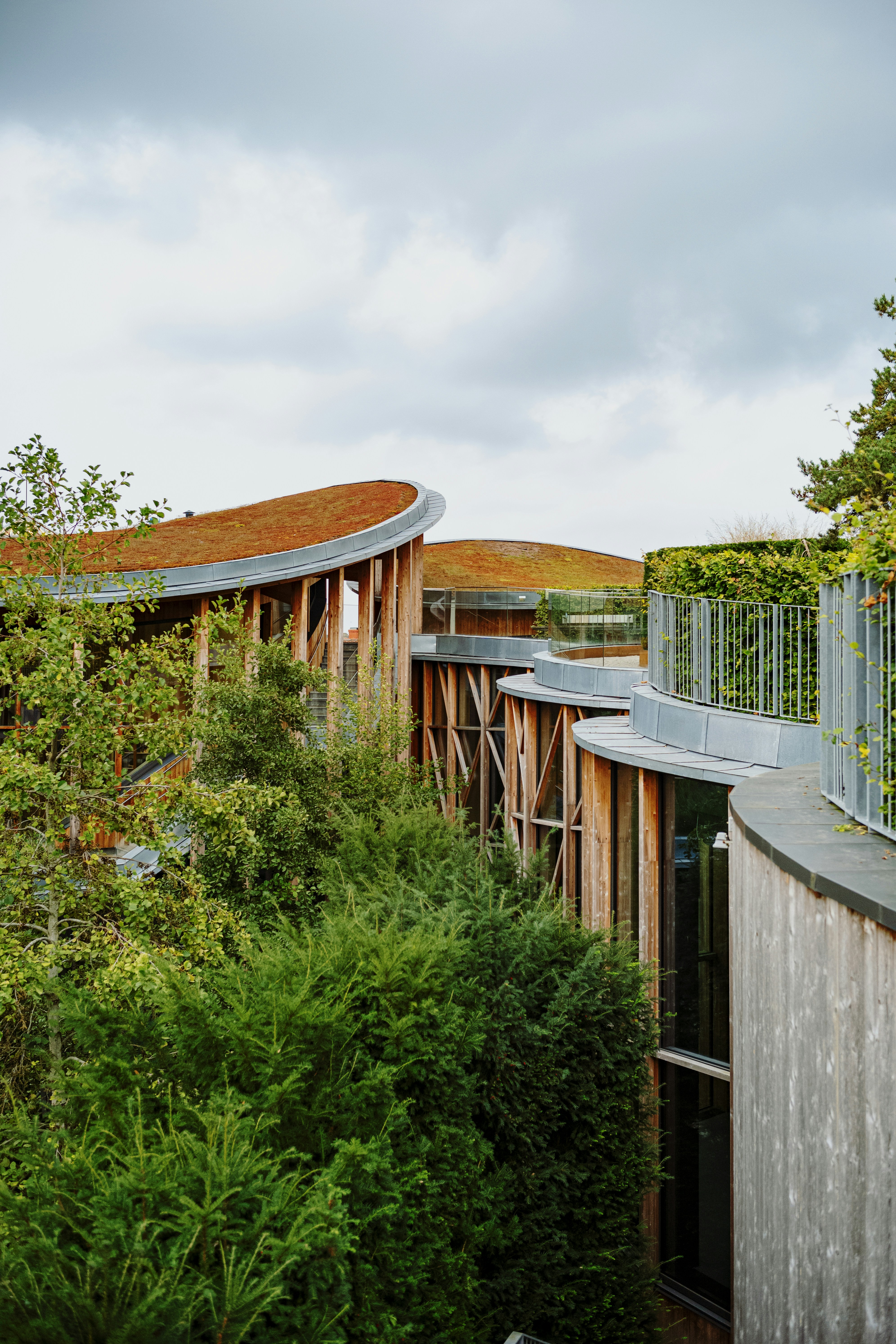 Photo by tommaomaoer