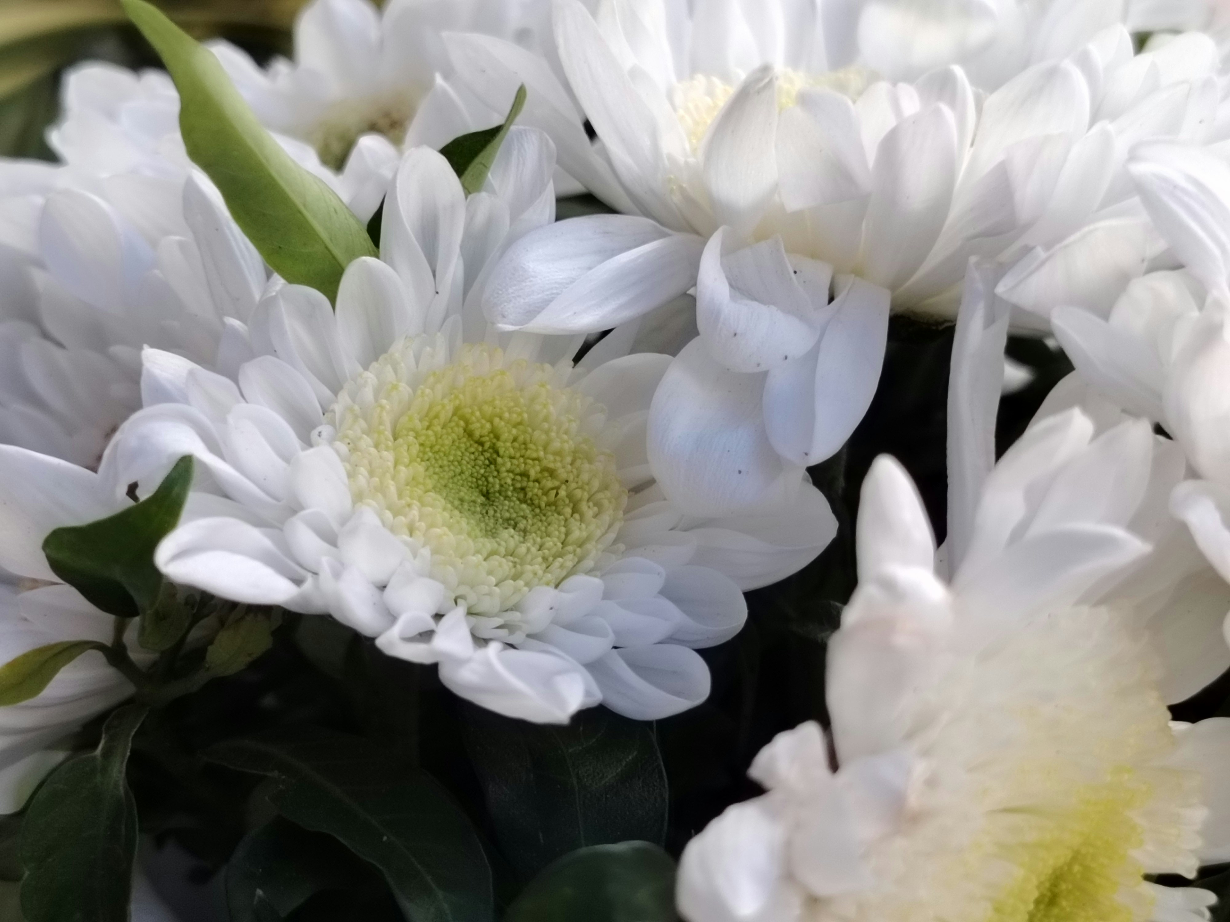 Photo by nicole_anne