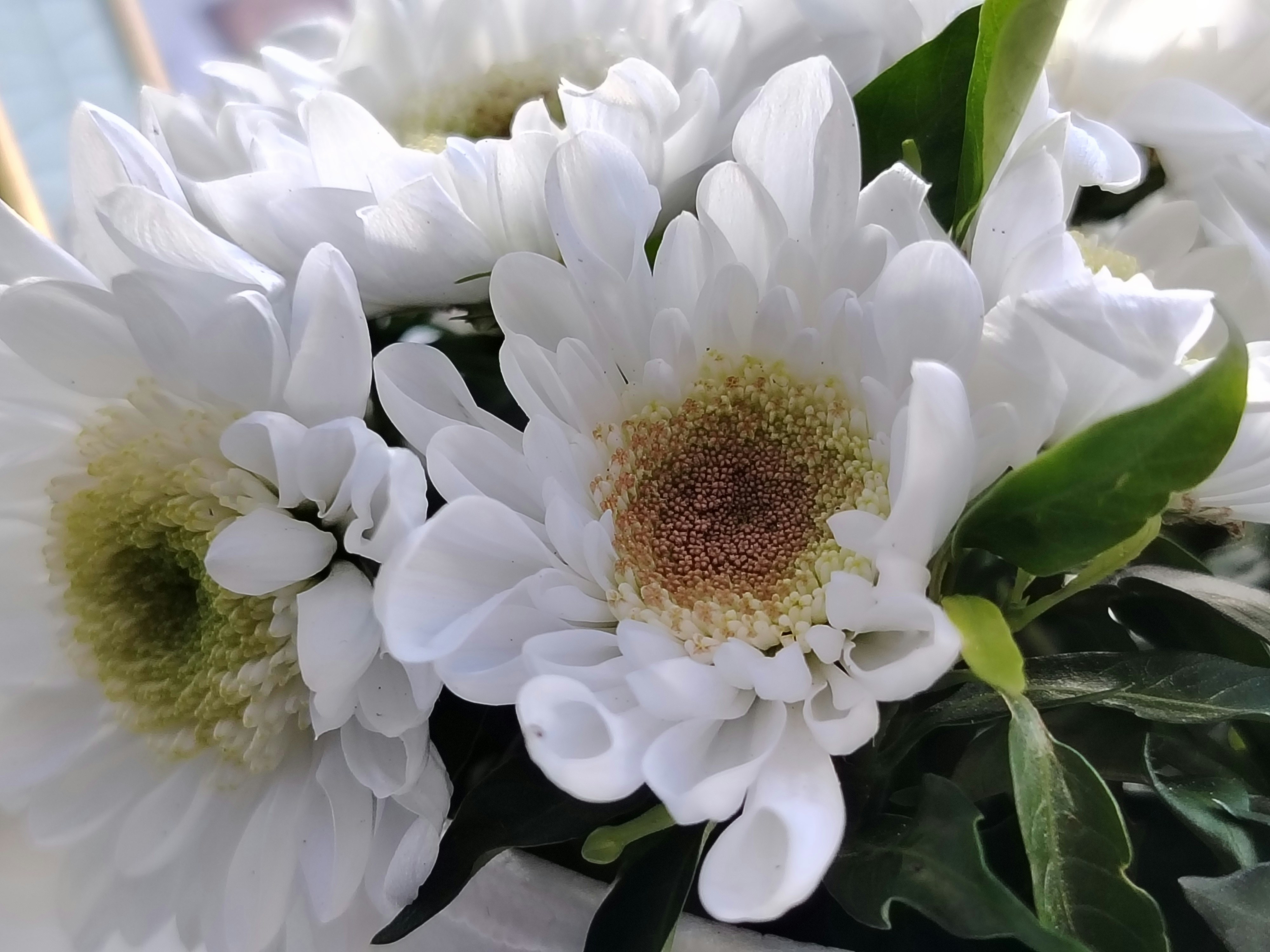 A bouquet of white flowers sitting on top of a table