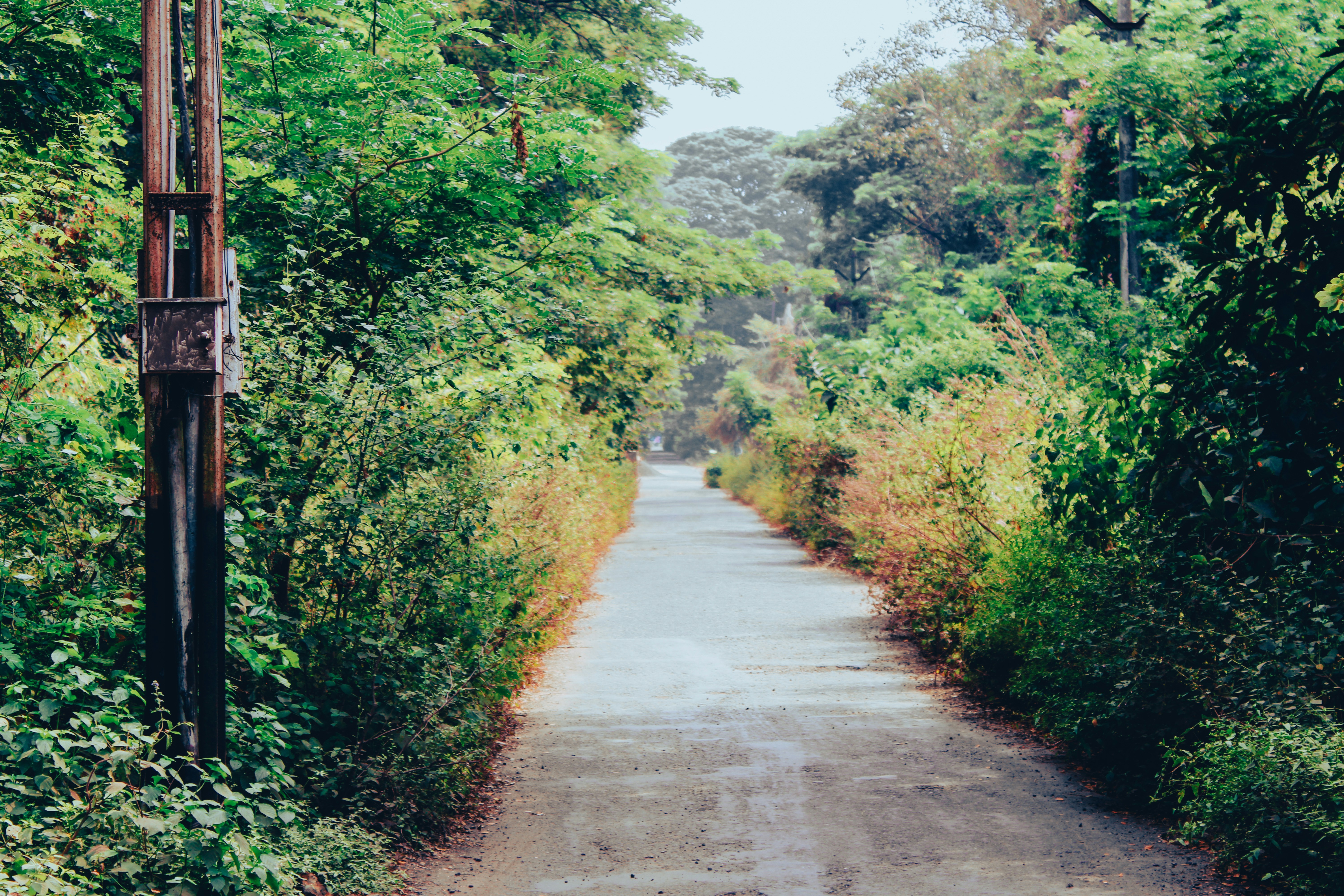 Photo by ebenezer_ebe