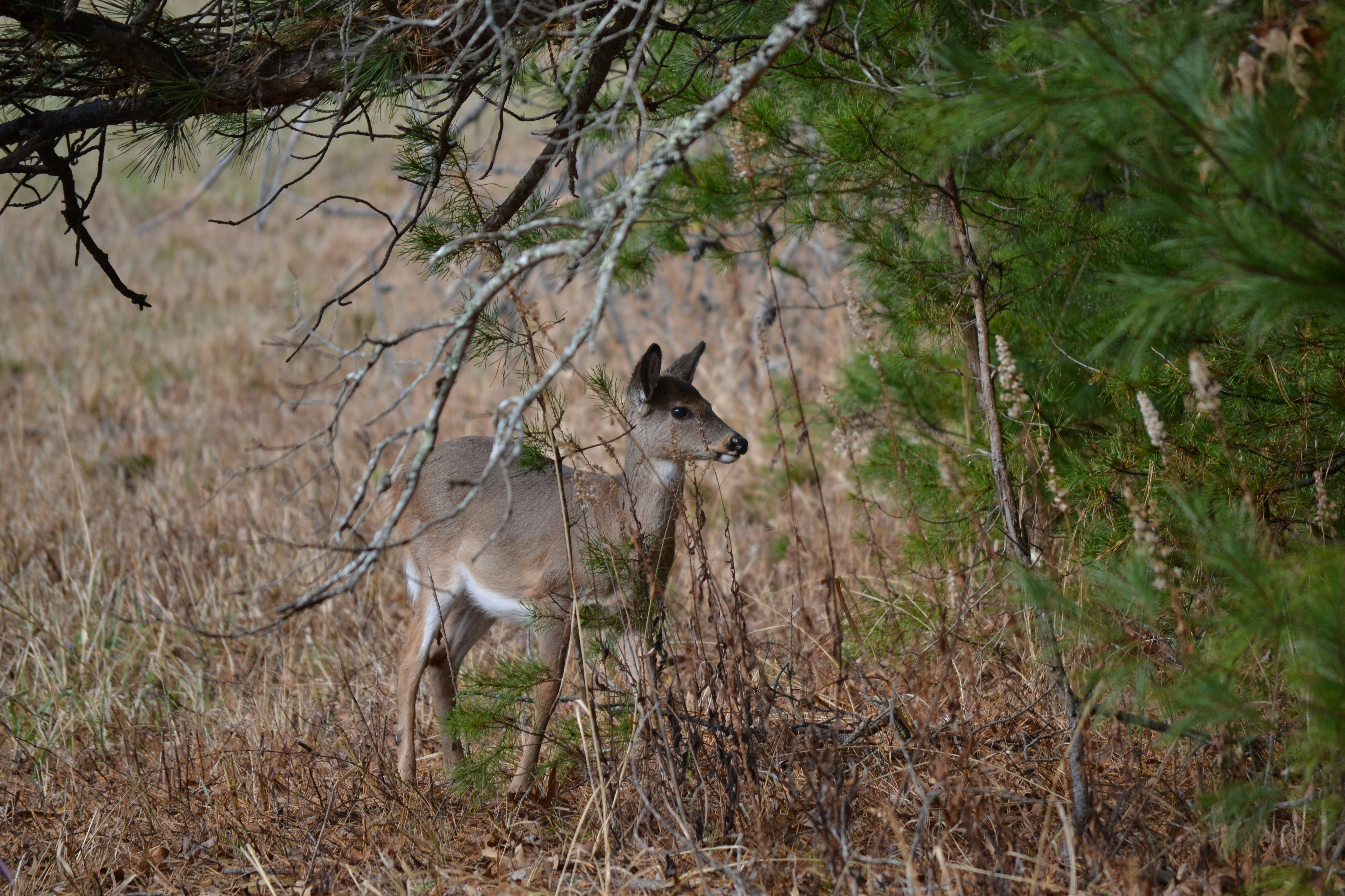 Photo by trailshutter