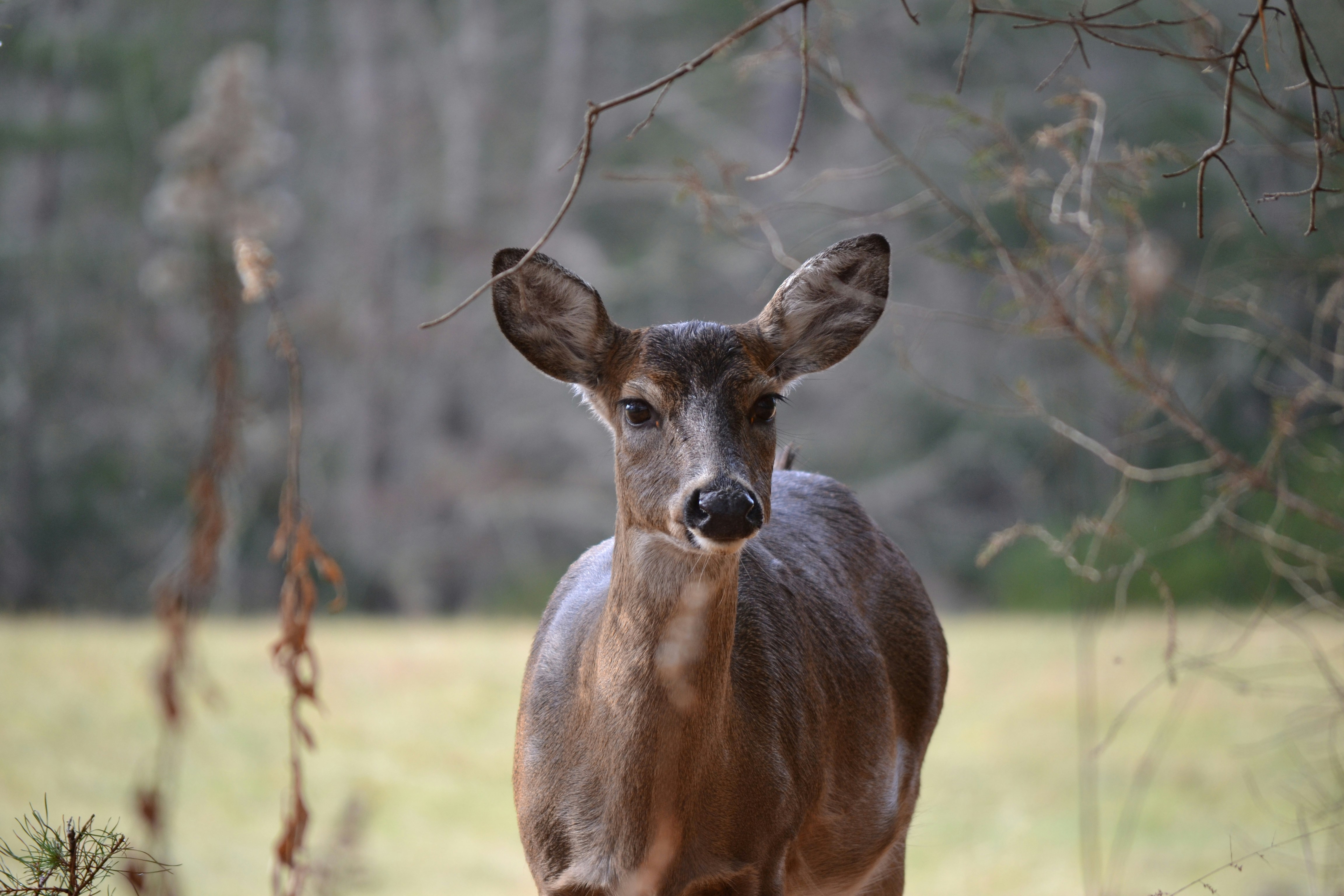 Photo by trailshutter