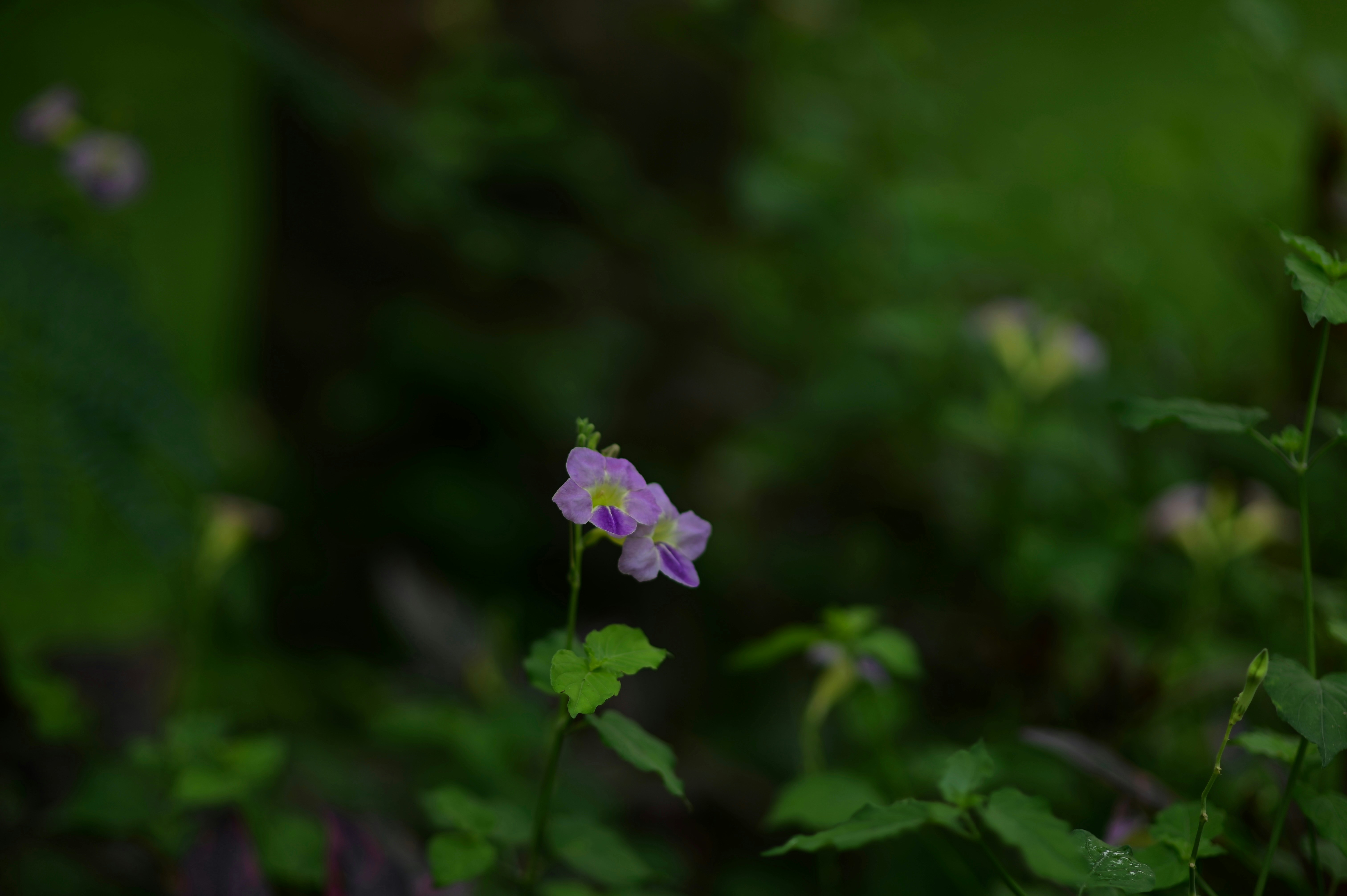 Photo by rrajputphotography