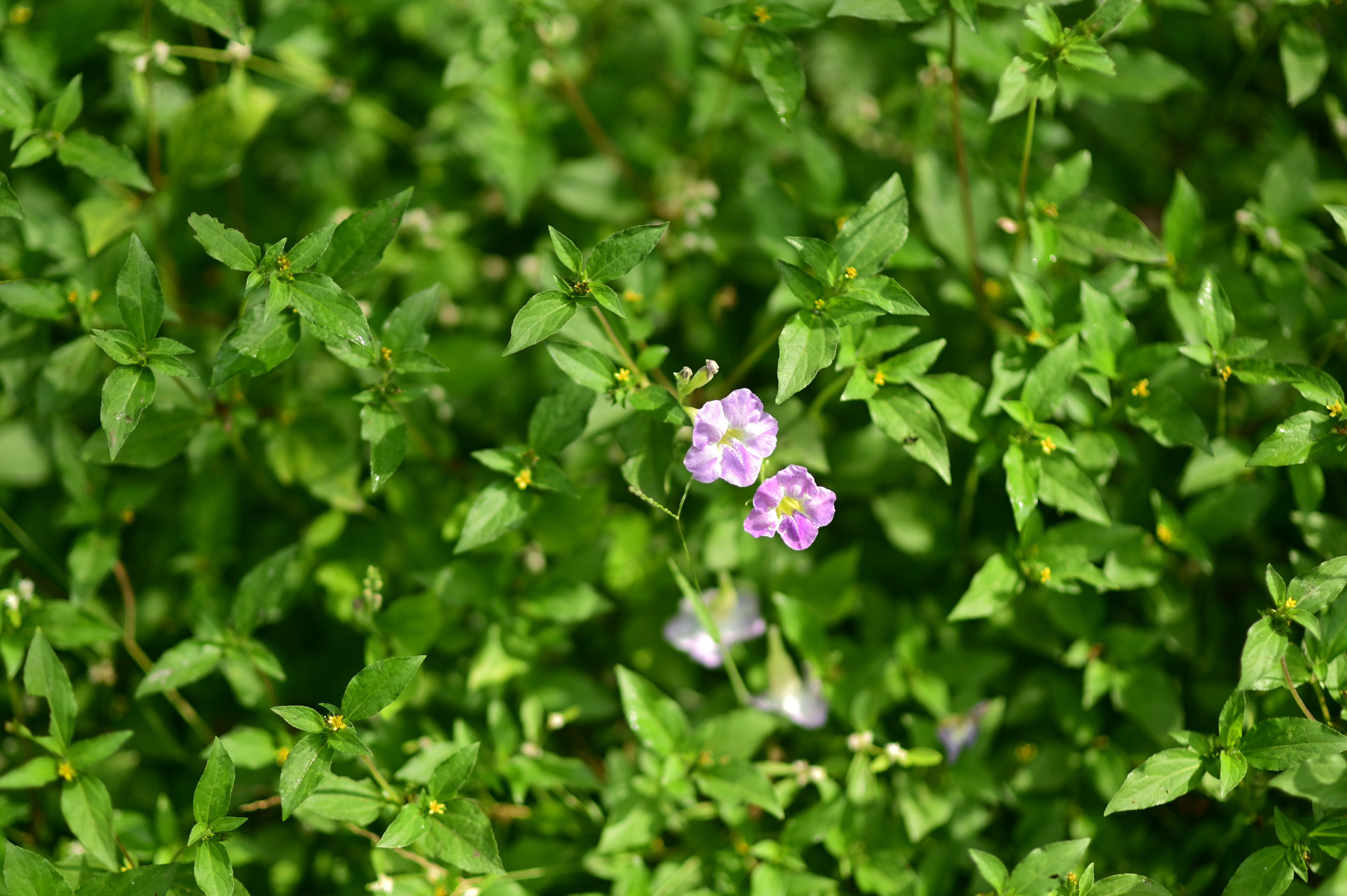 Photo by rrajputphotography