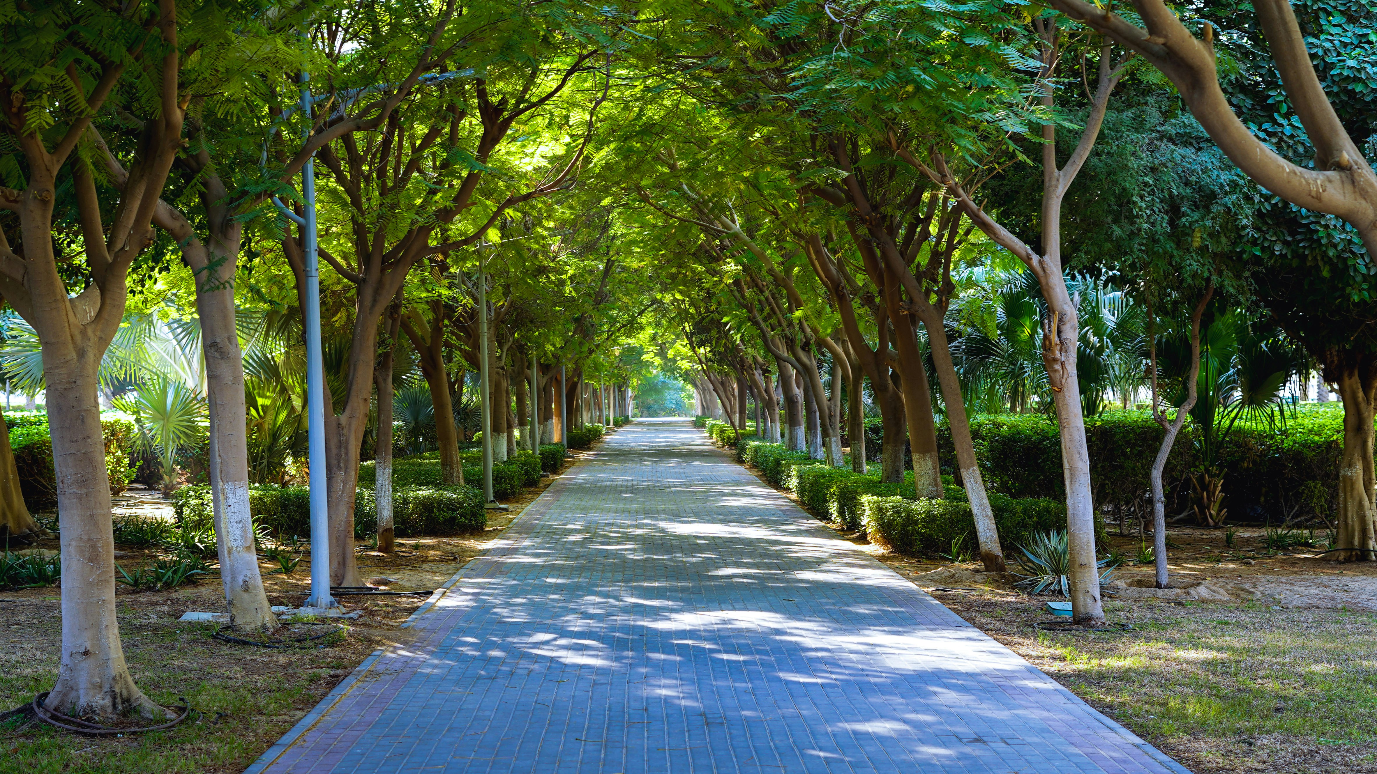 Photo by advantageous_digital