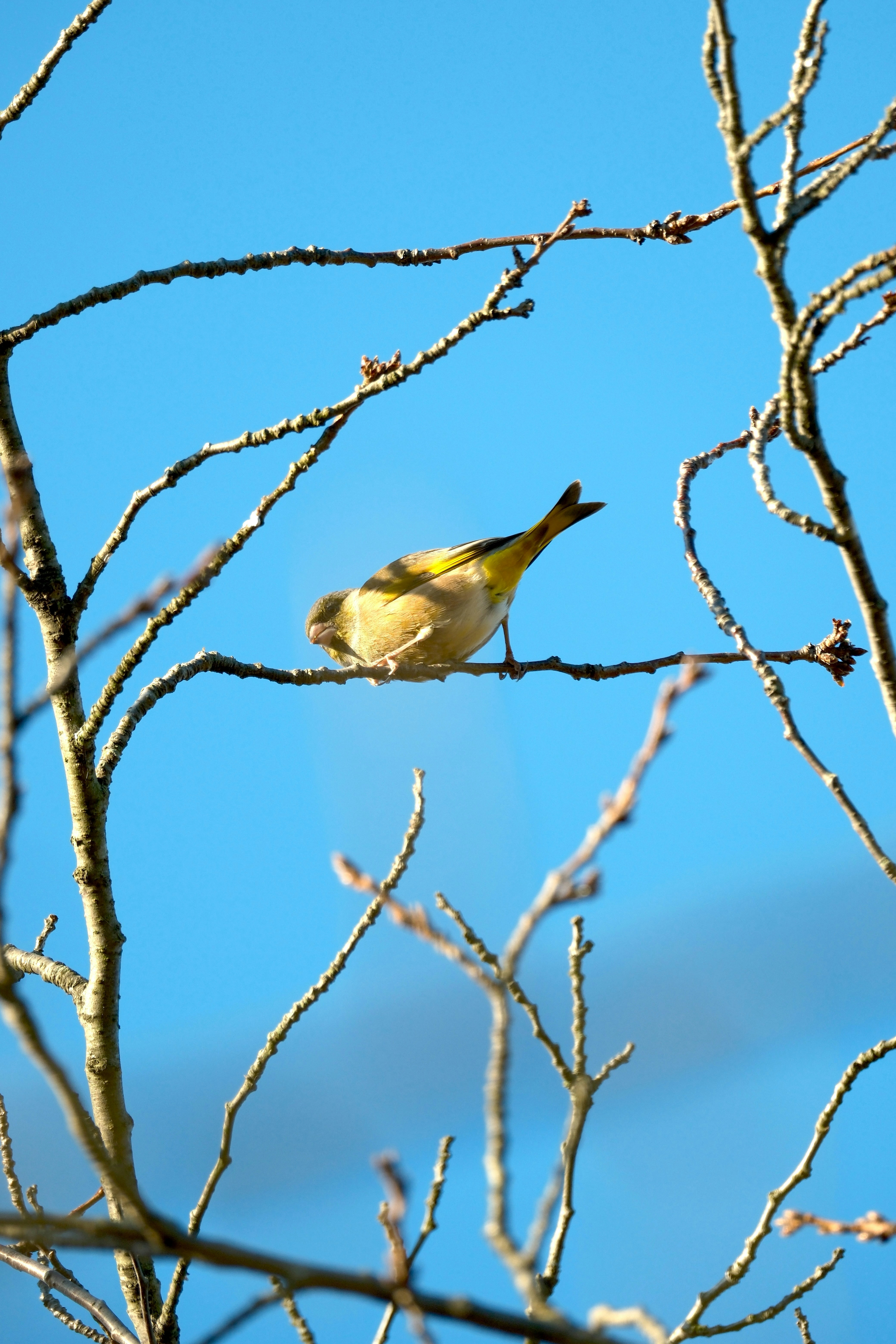 Photo by seiya_maeda