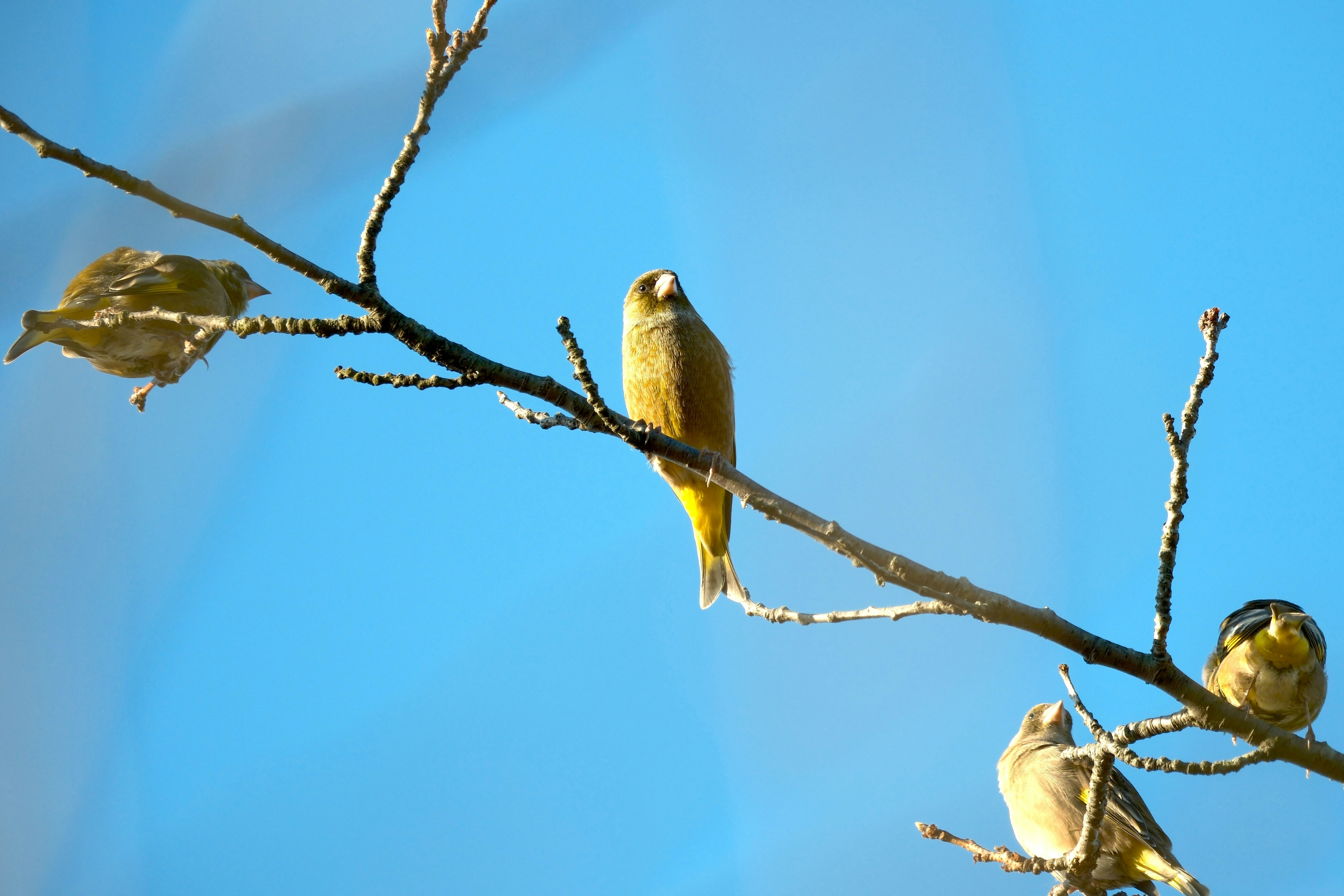 Photo by seiya_maeda