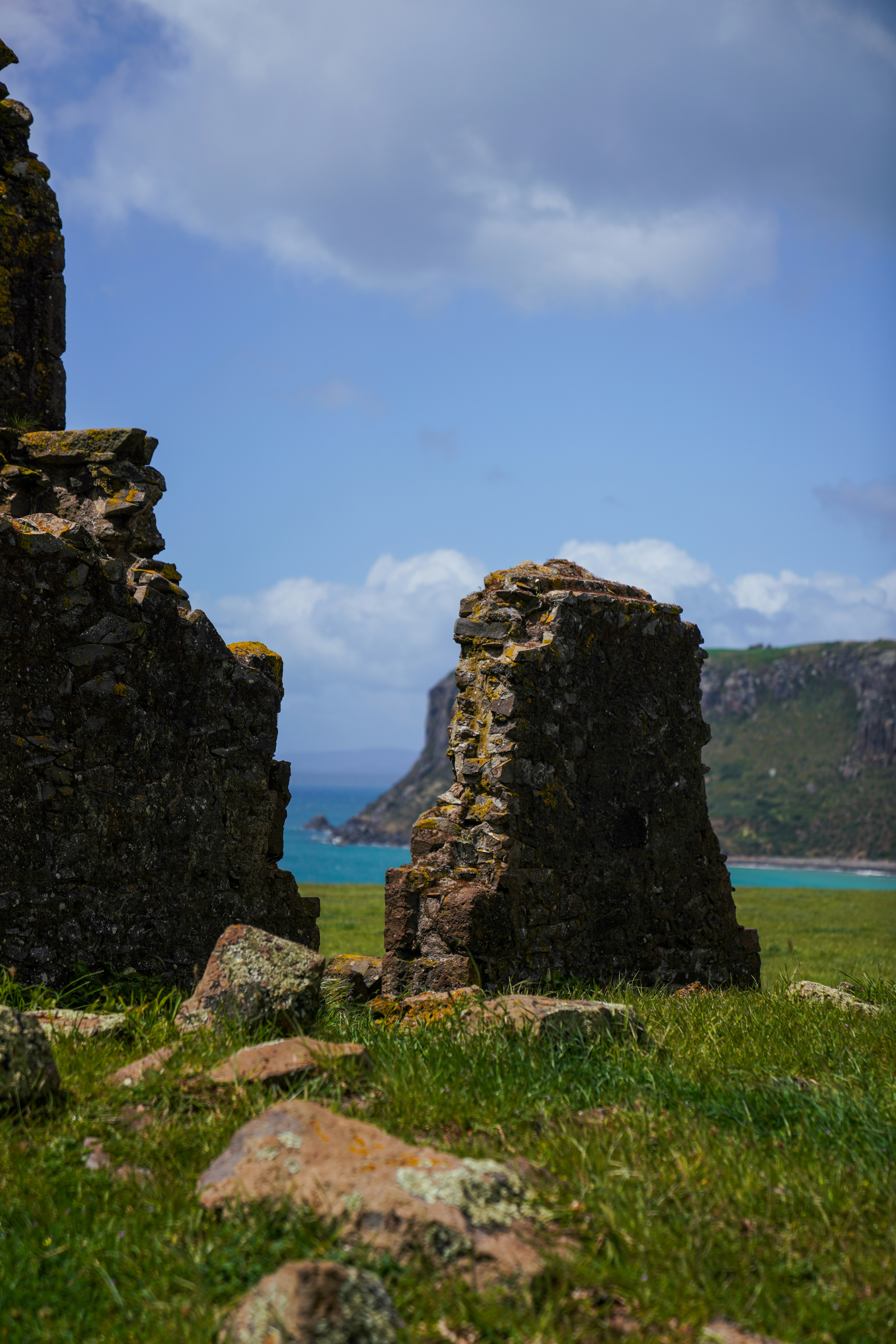 A couple of rocks sitting on top of a lush green field