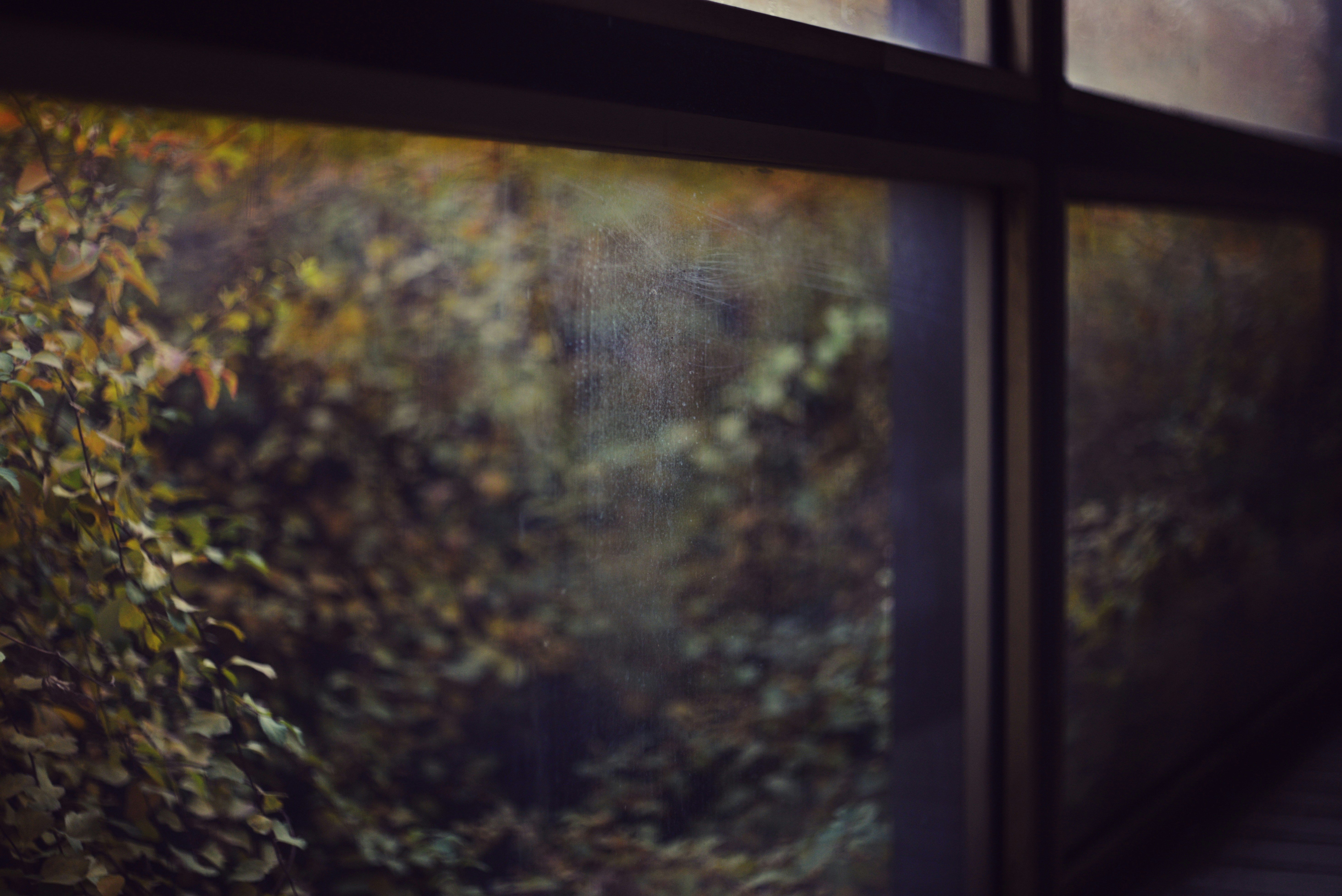 Photo by cherstve_pechivo