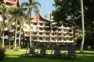 A row of lawn chairs sitting in front of a building
