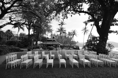 A row of white chairs sitting on top of a lush green field