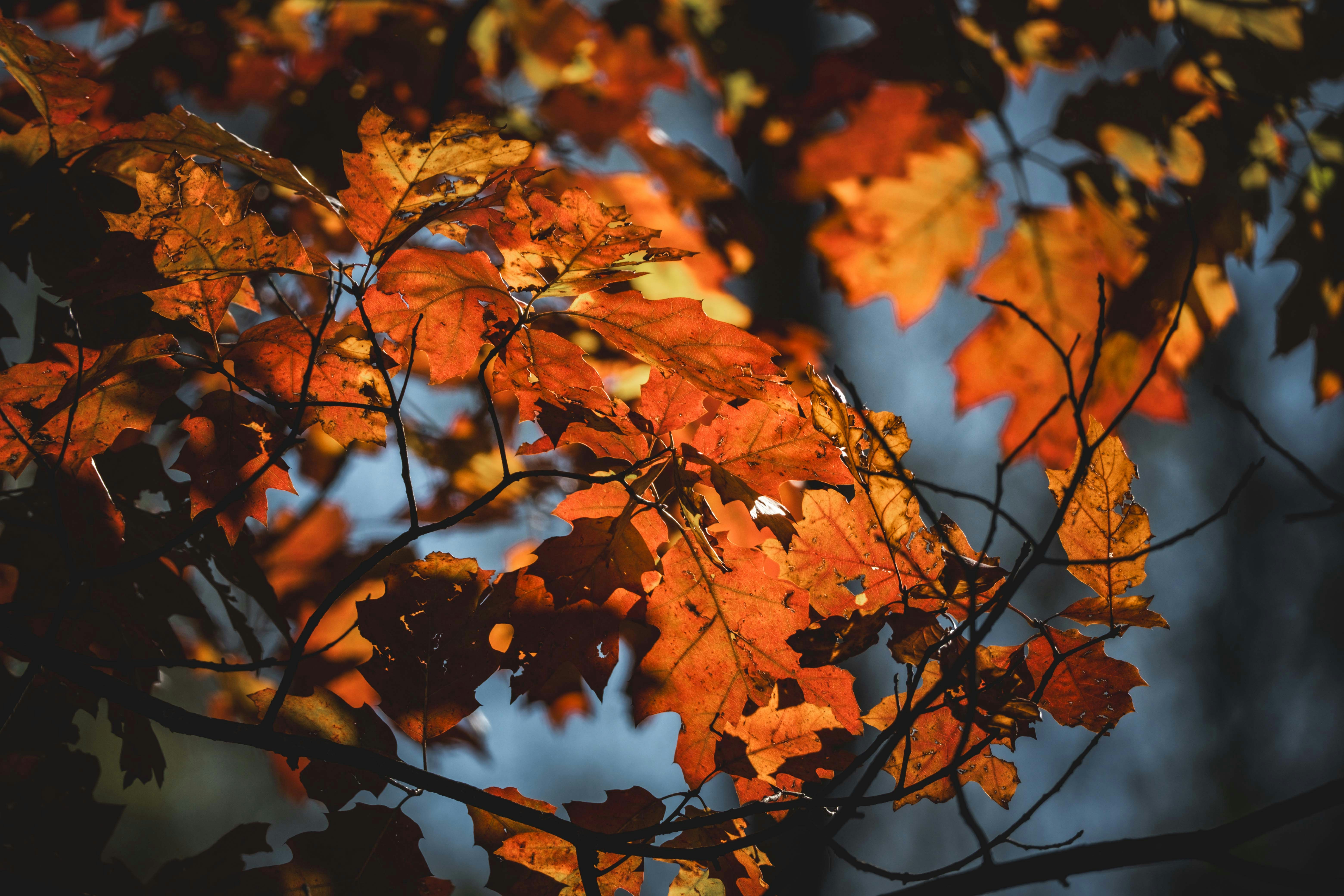 Photo by francesco_ungaro