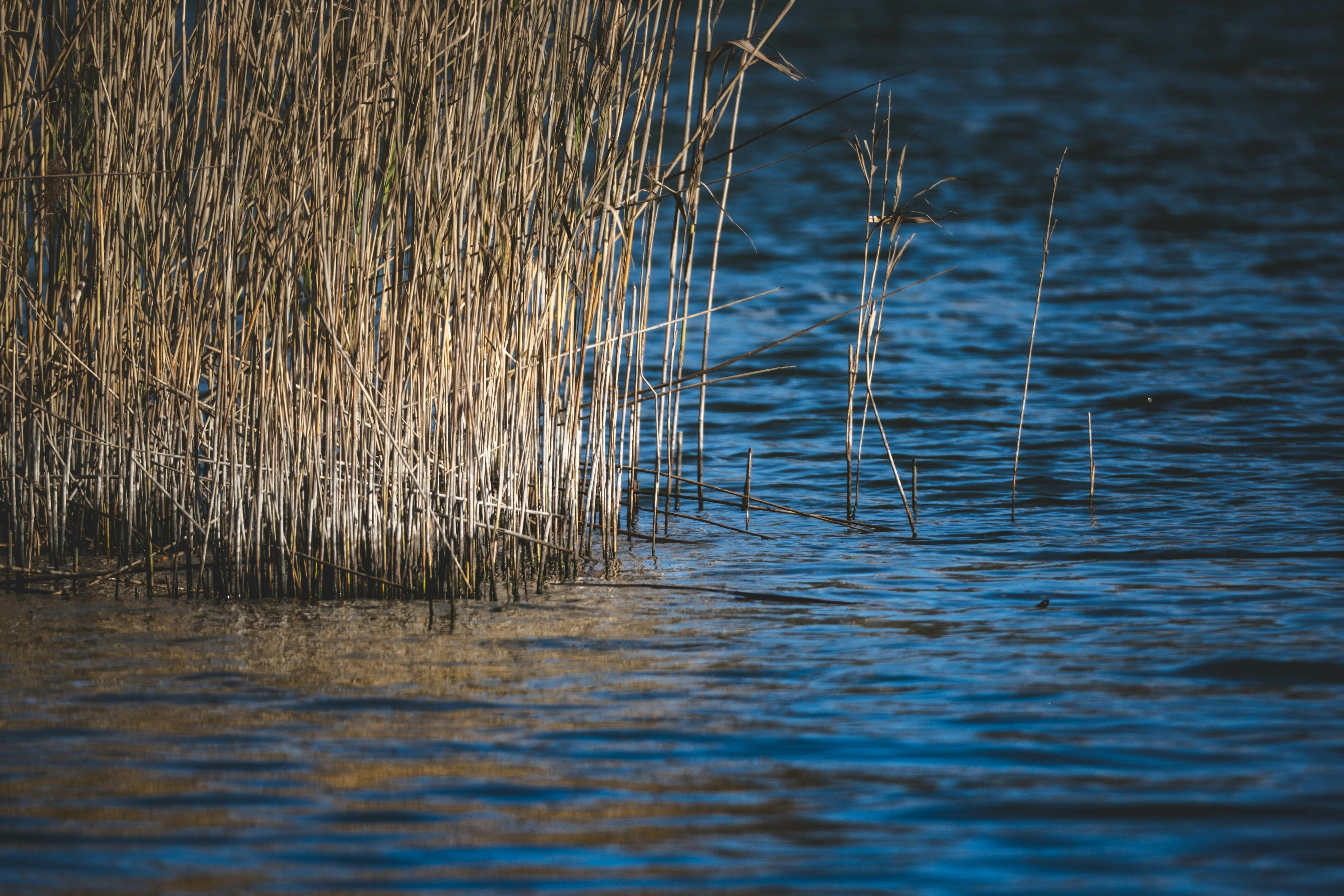 Photo by francesco_ungaro