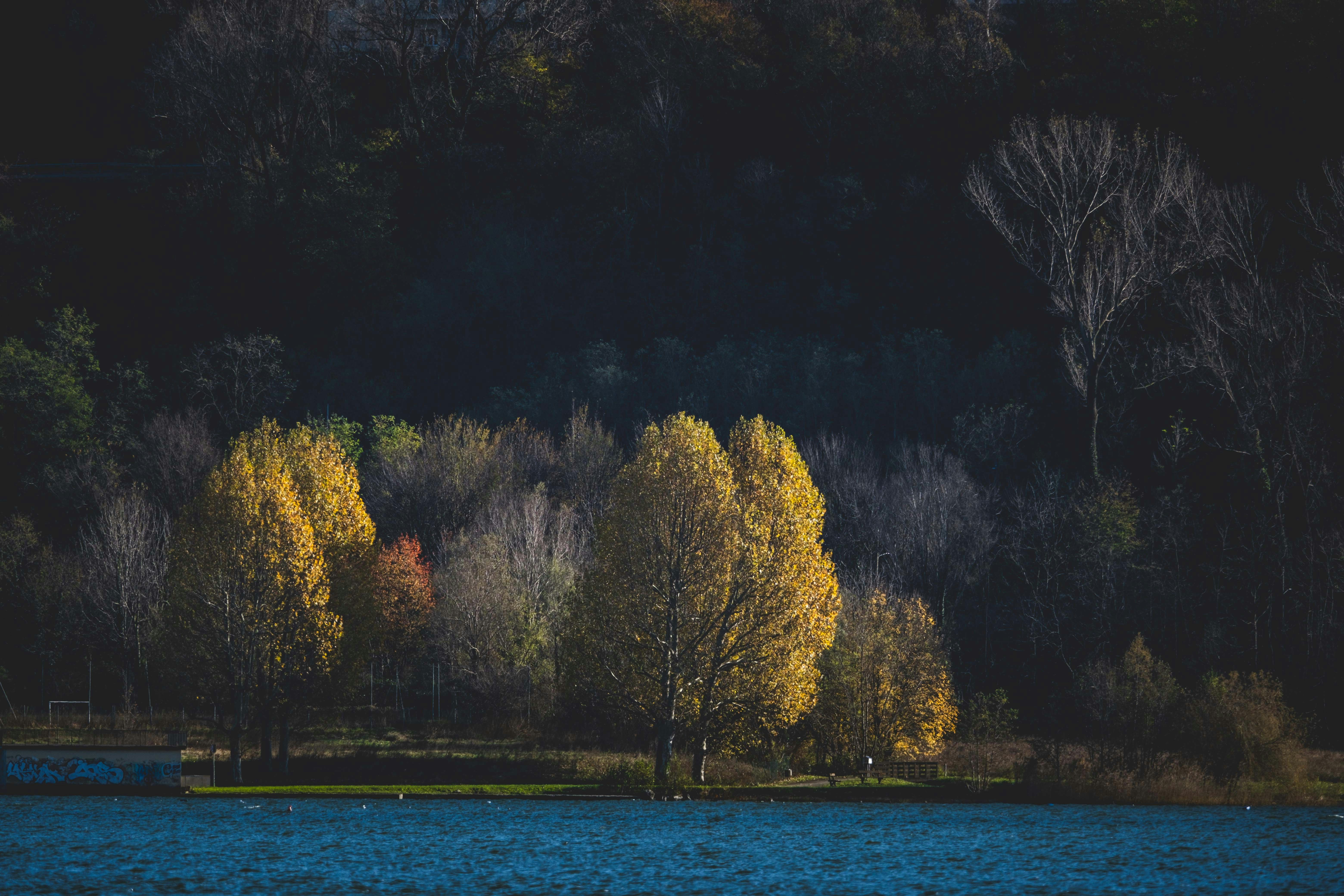 Photo by francesco_ungaro