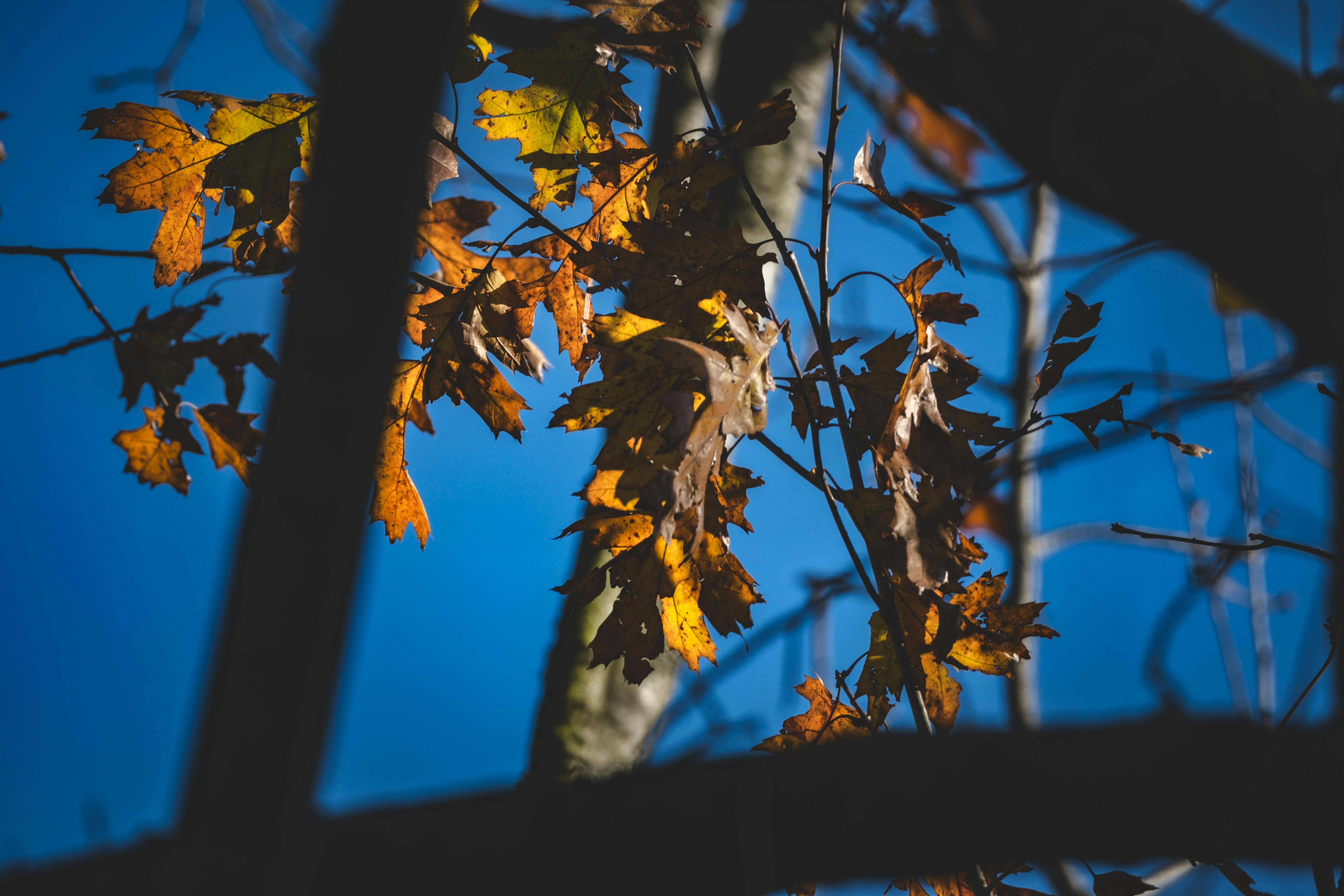 Photo by francesco_ungaro