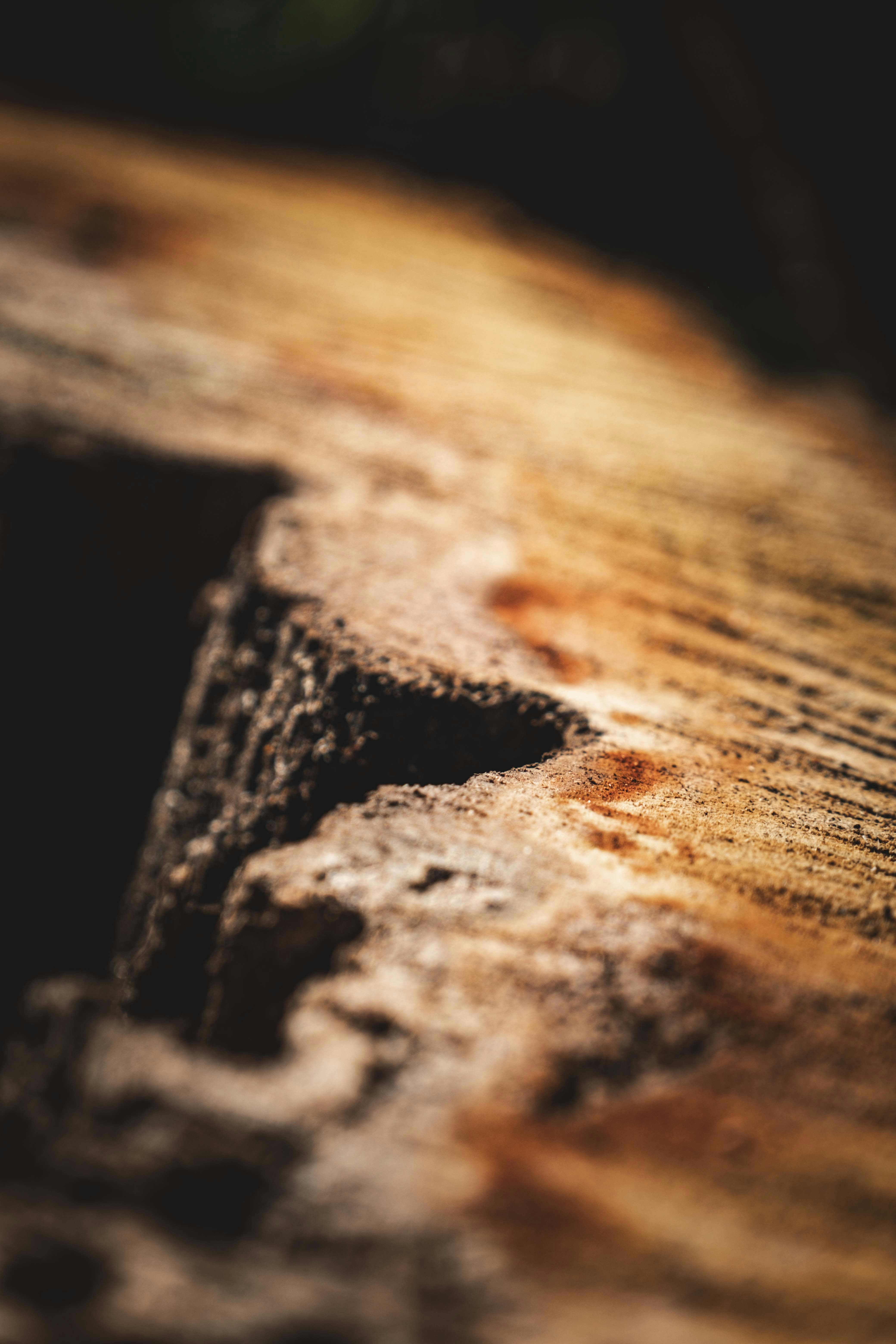 Photo by francesco_ungaro