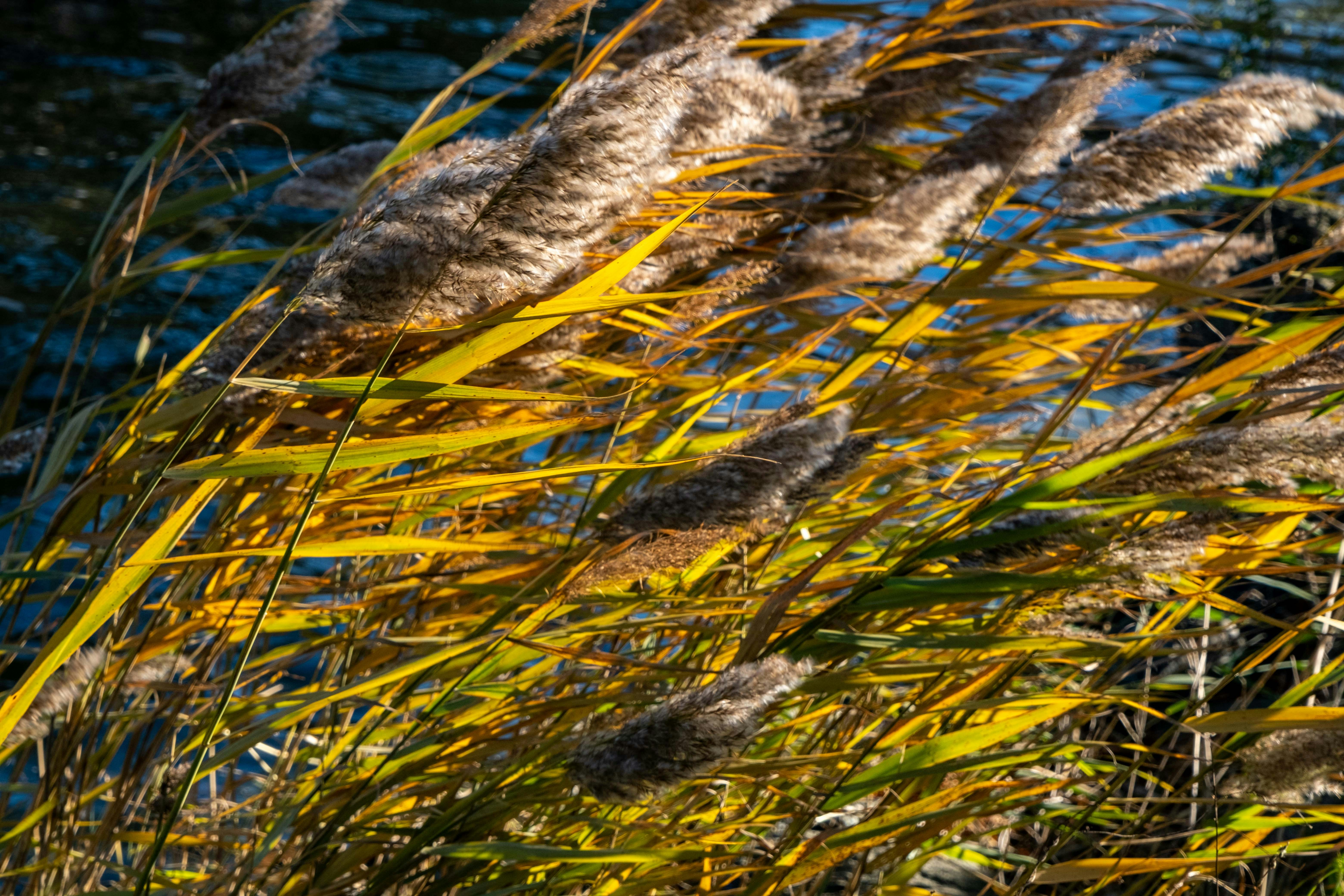 Photo by francesco_ungaro