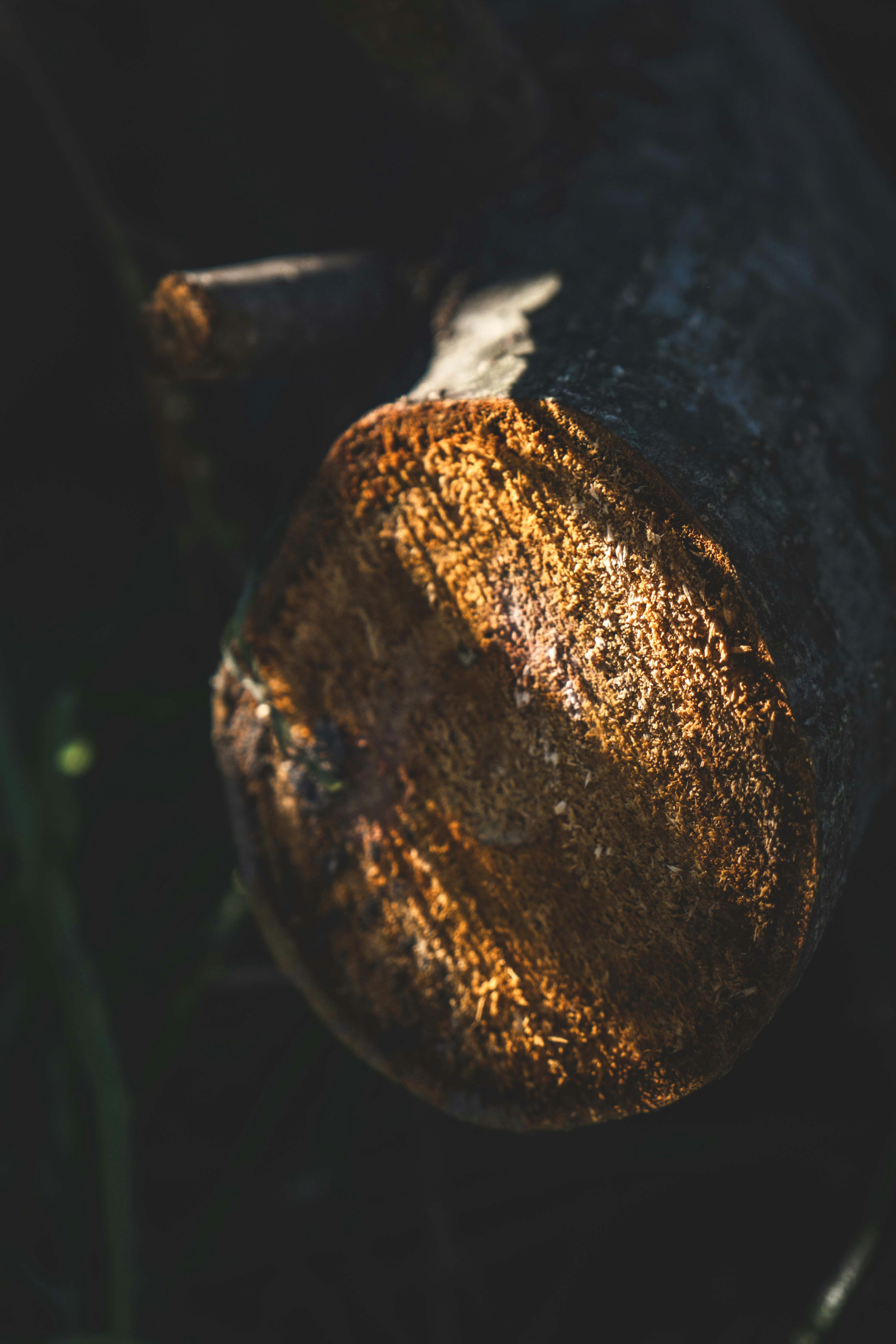 Photo by francesco_ungaro