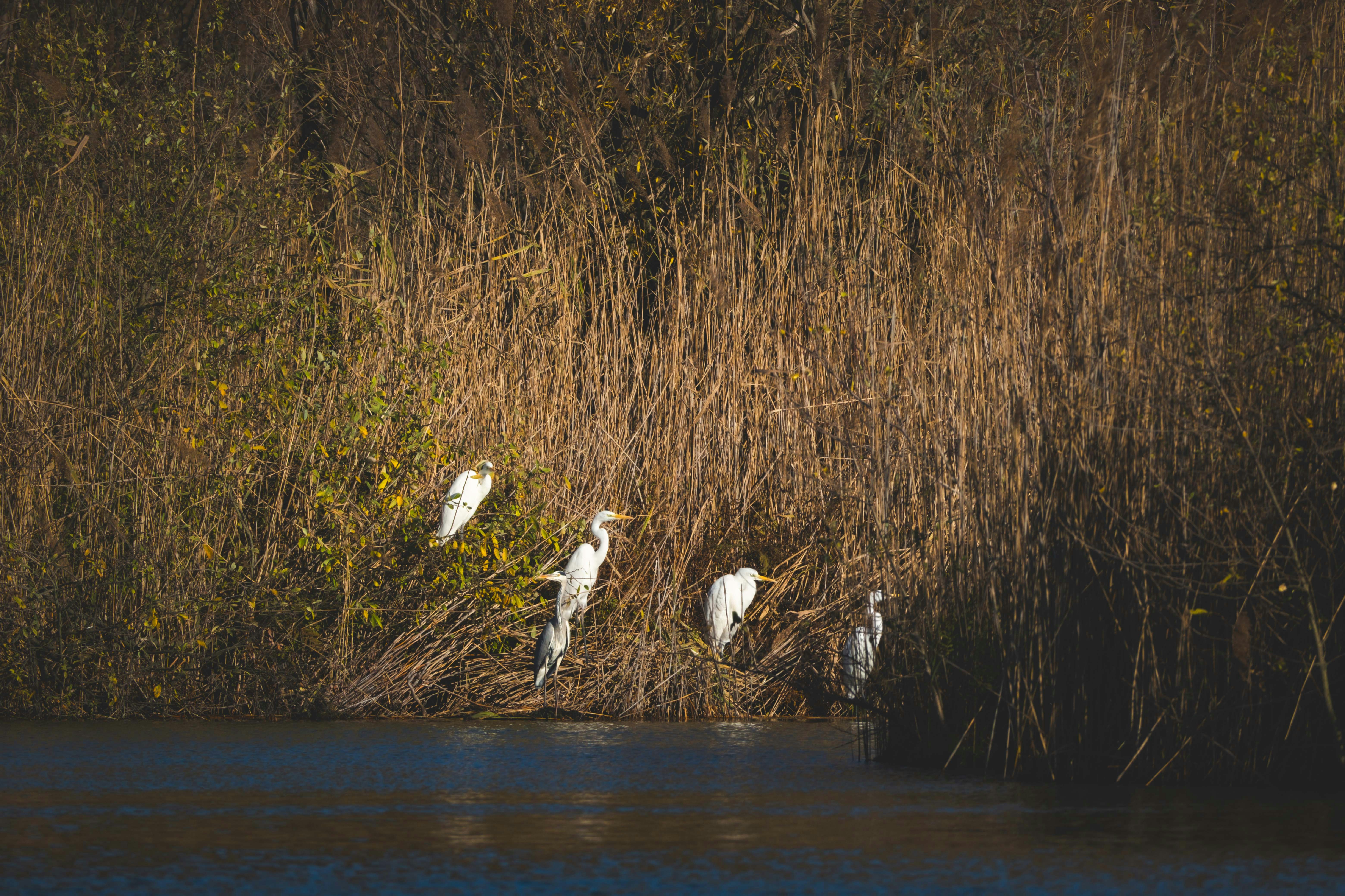 Photo by francesco_ungaro