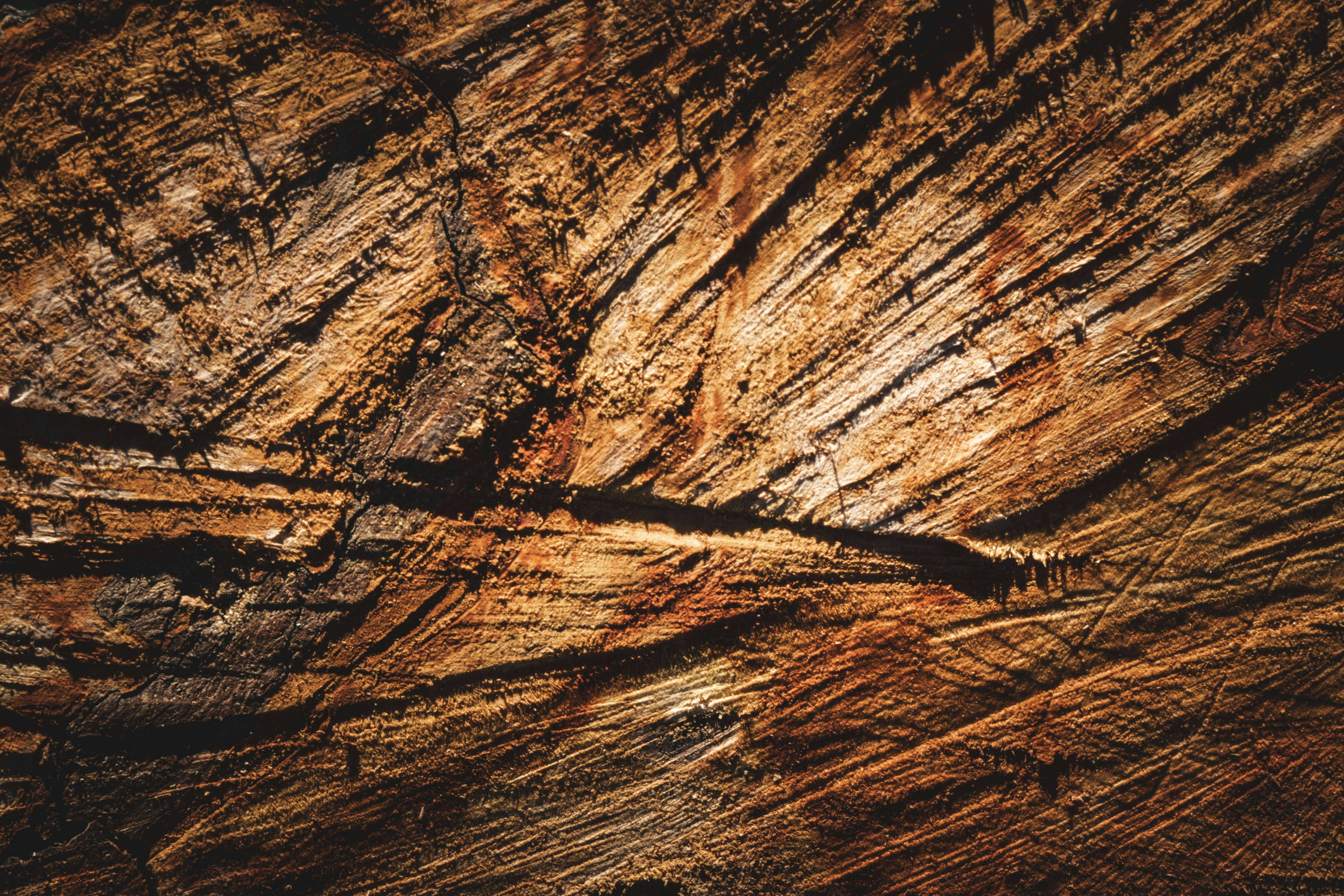 ¿Geólogos de mina? ⛰️⛏️.