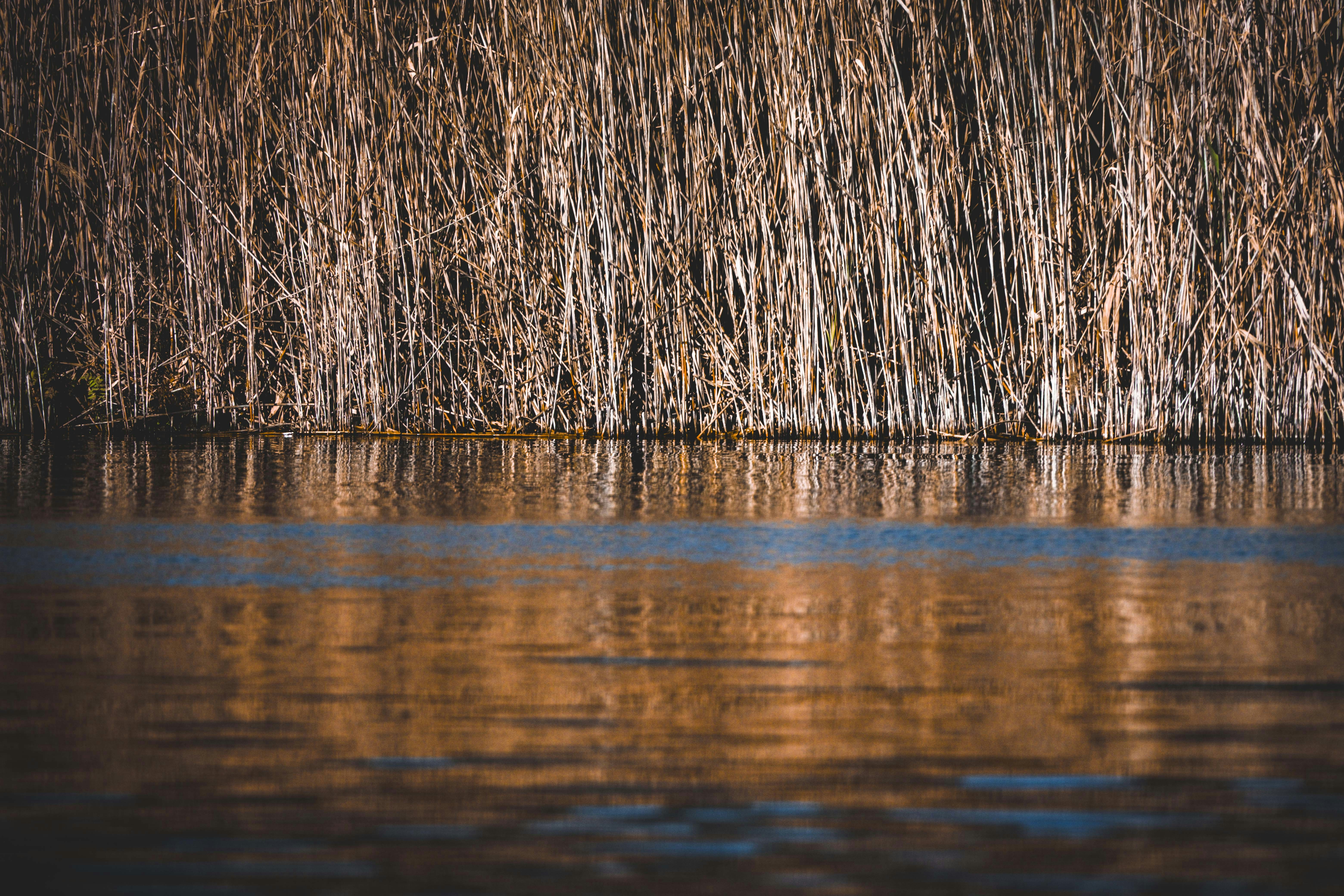 Photo by francesco_ungaro