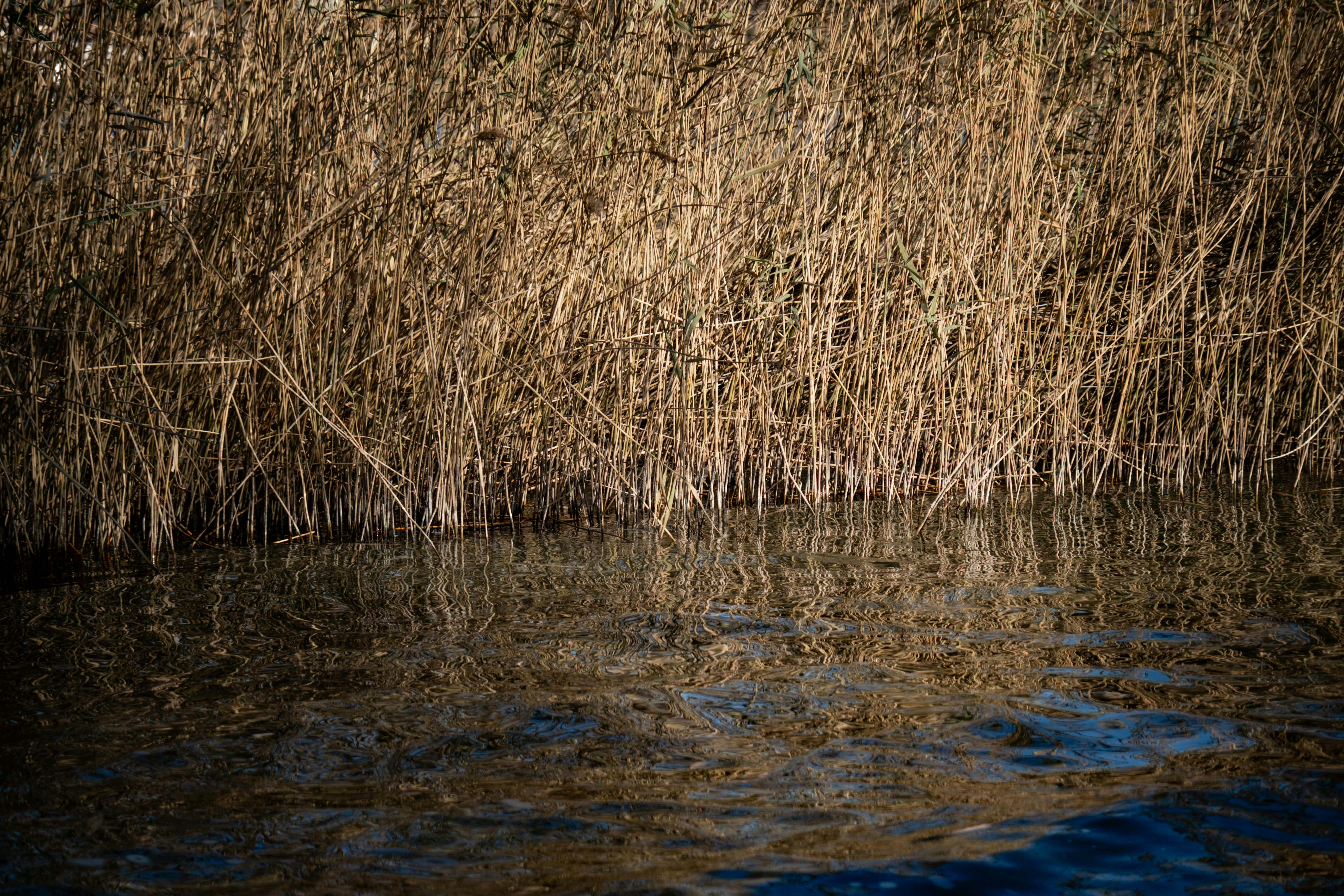 Photo by francesco_ungaro