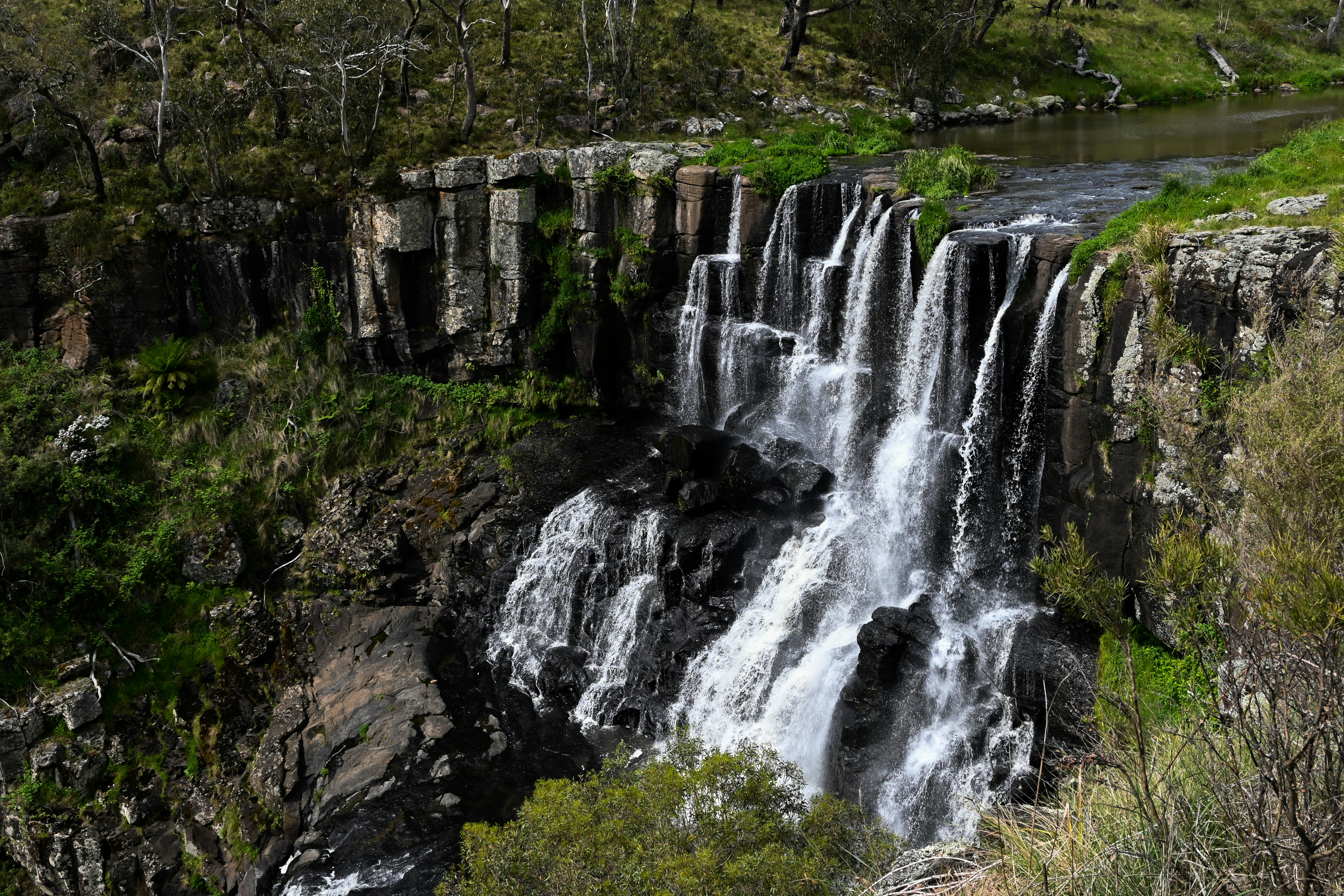 Ebor, New South Wales