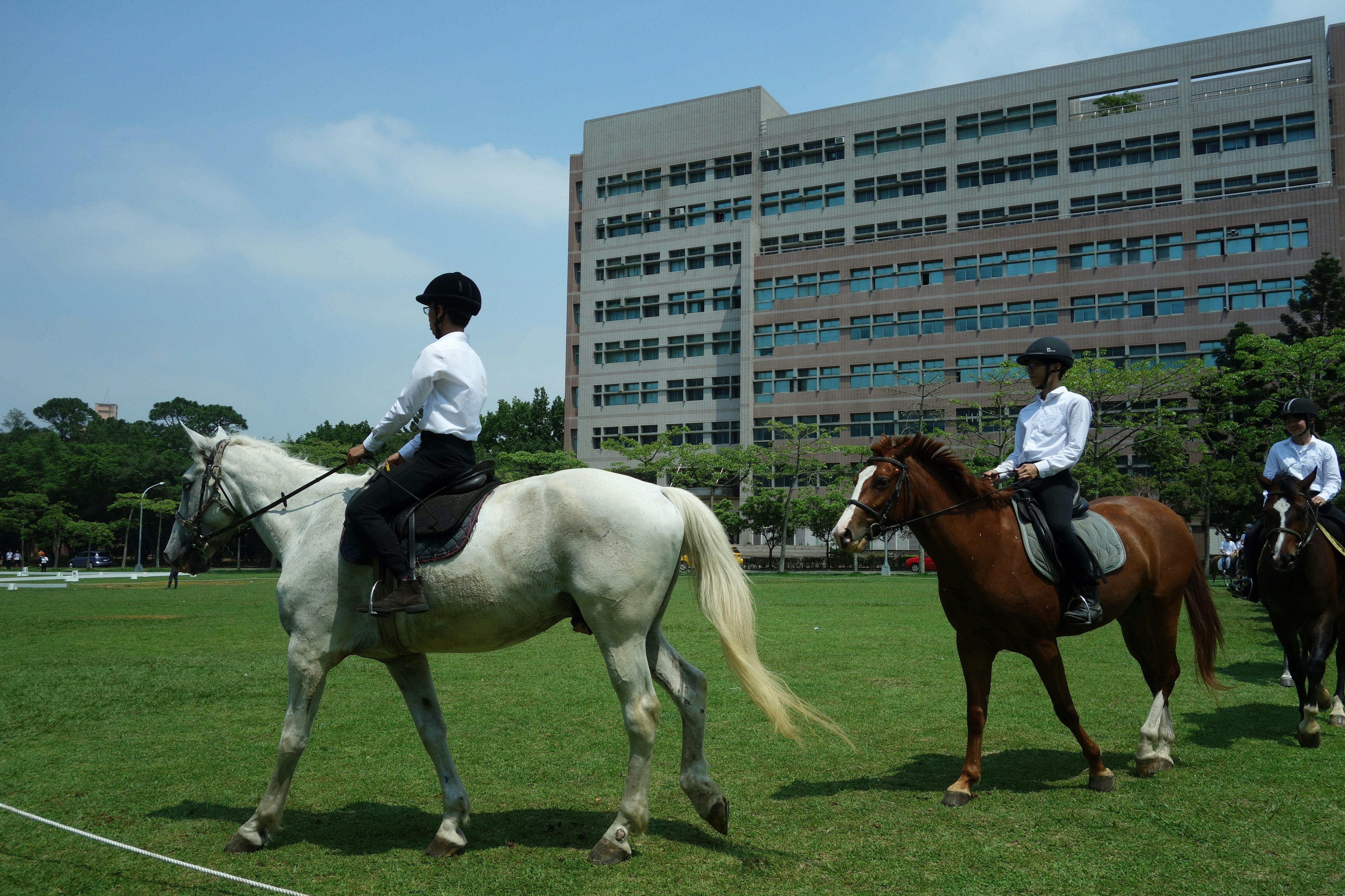 A group of people riding on the backs of horses