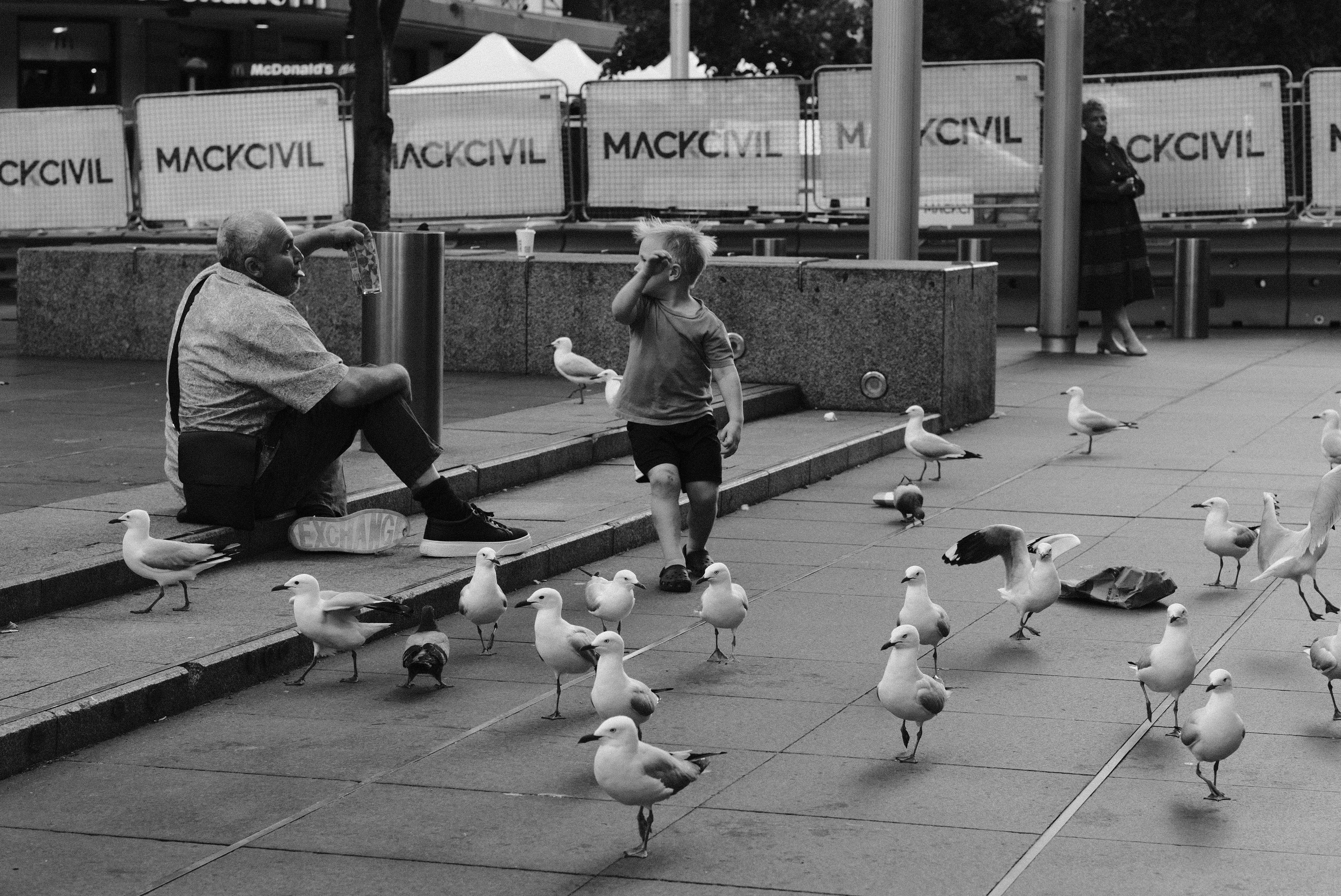 A black and white photo of a man sitting on a bench surrounded by seagul