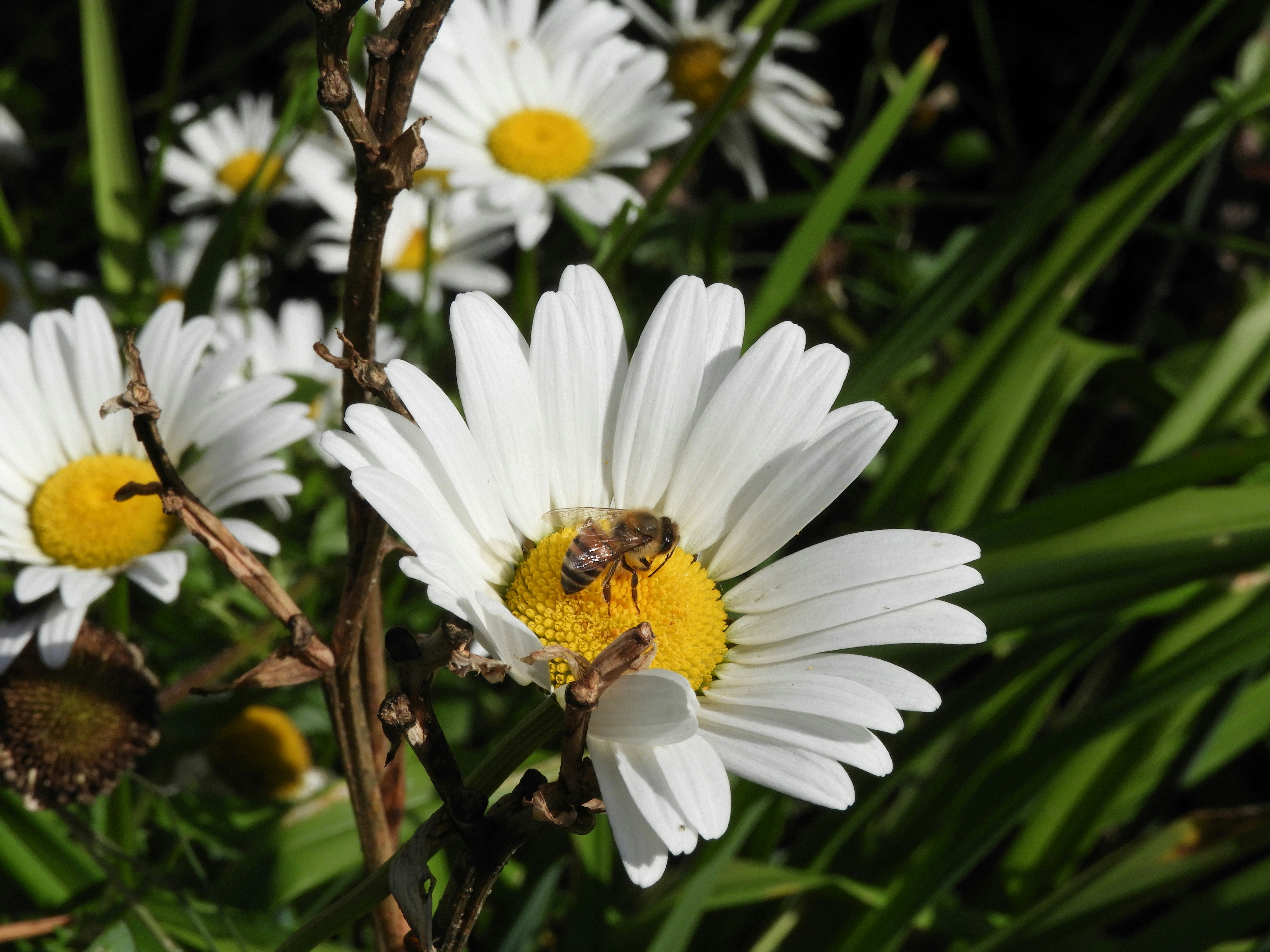 Photo by lyssa_elliott