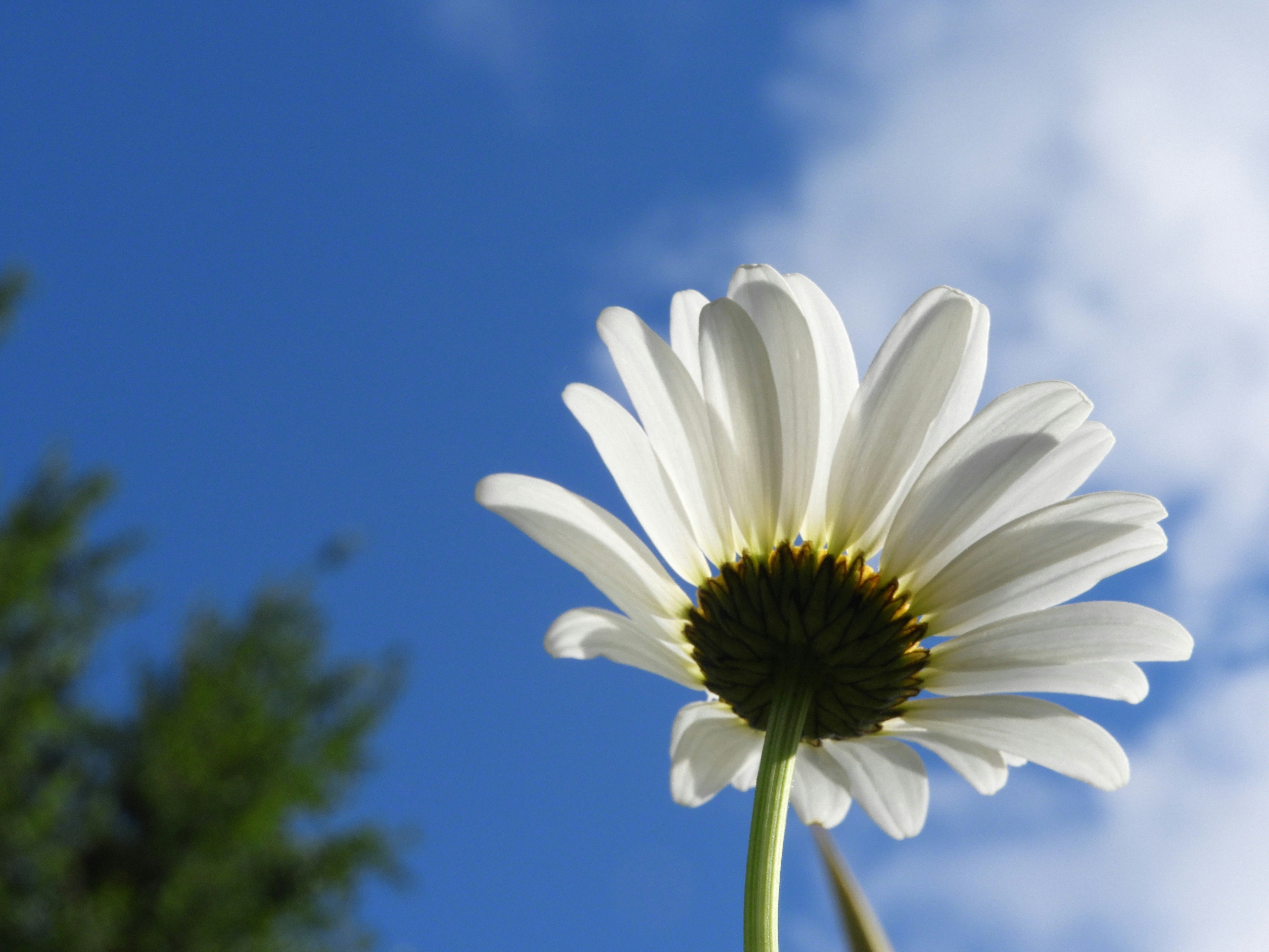 Photo by lyssa_elliott