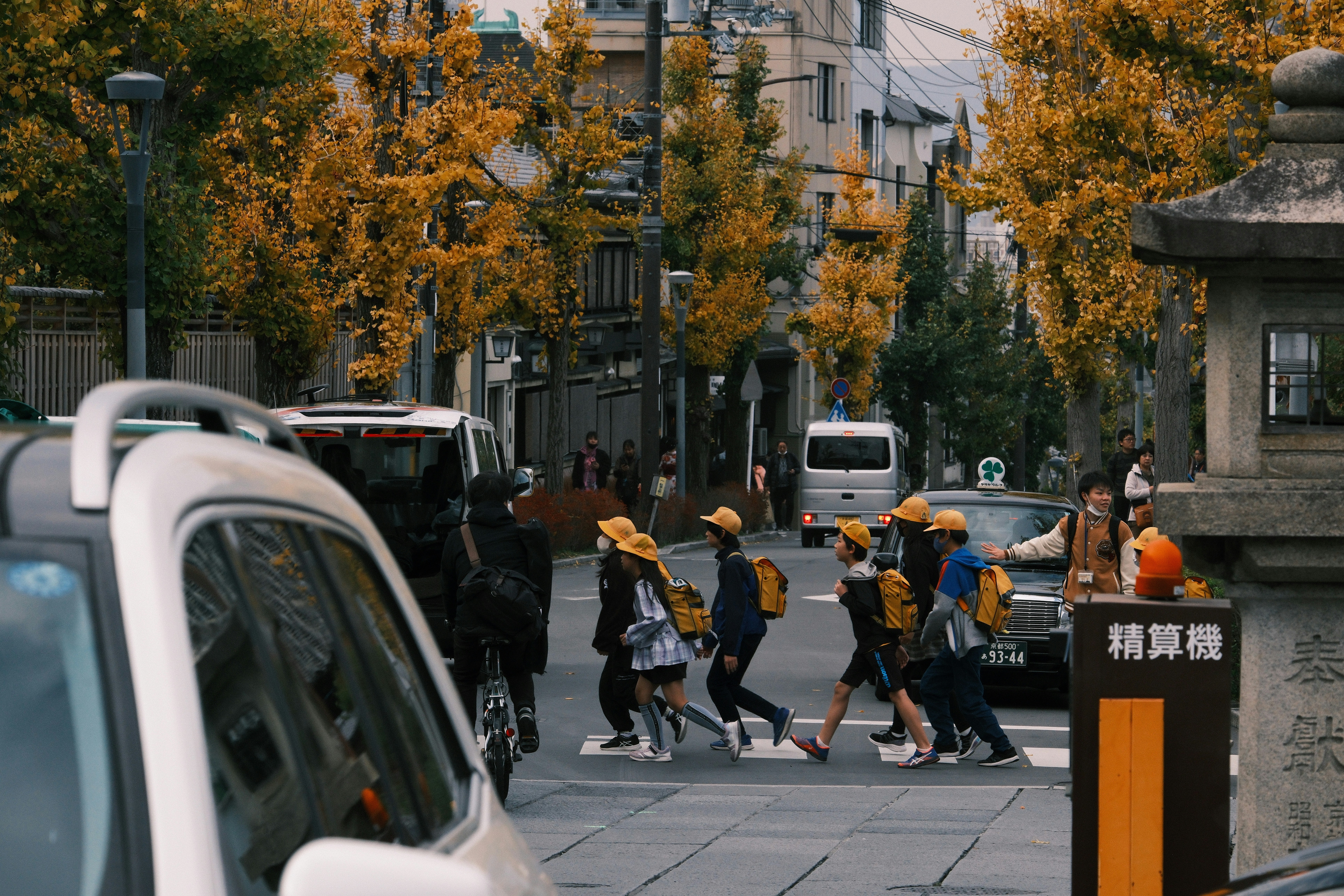 Winter Preparation for Pets: Keeping Warm Without Breaking the Bank