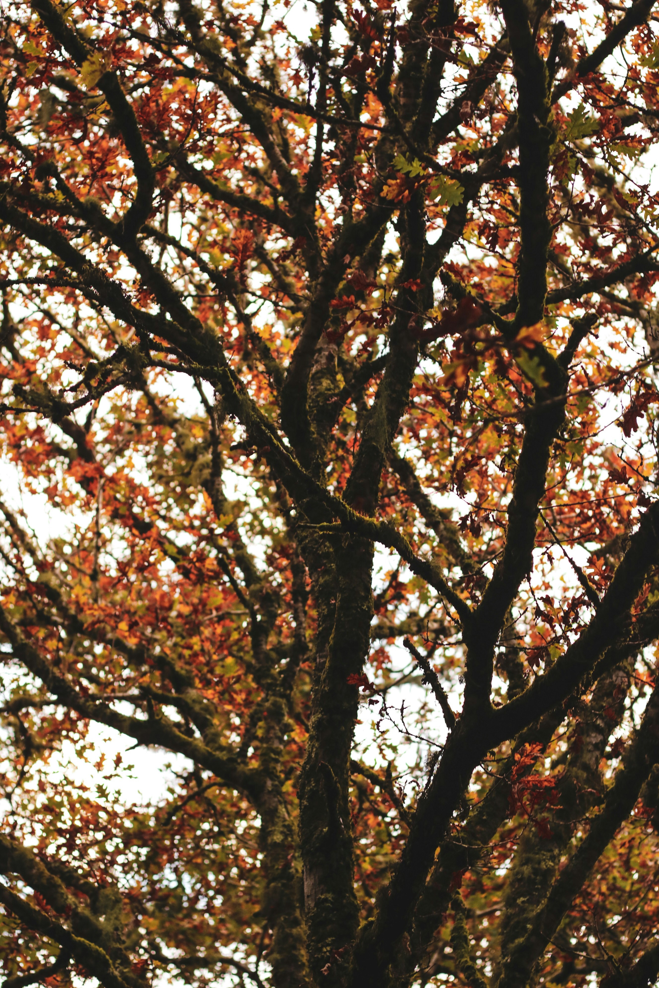 Photo by focalinsight