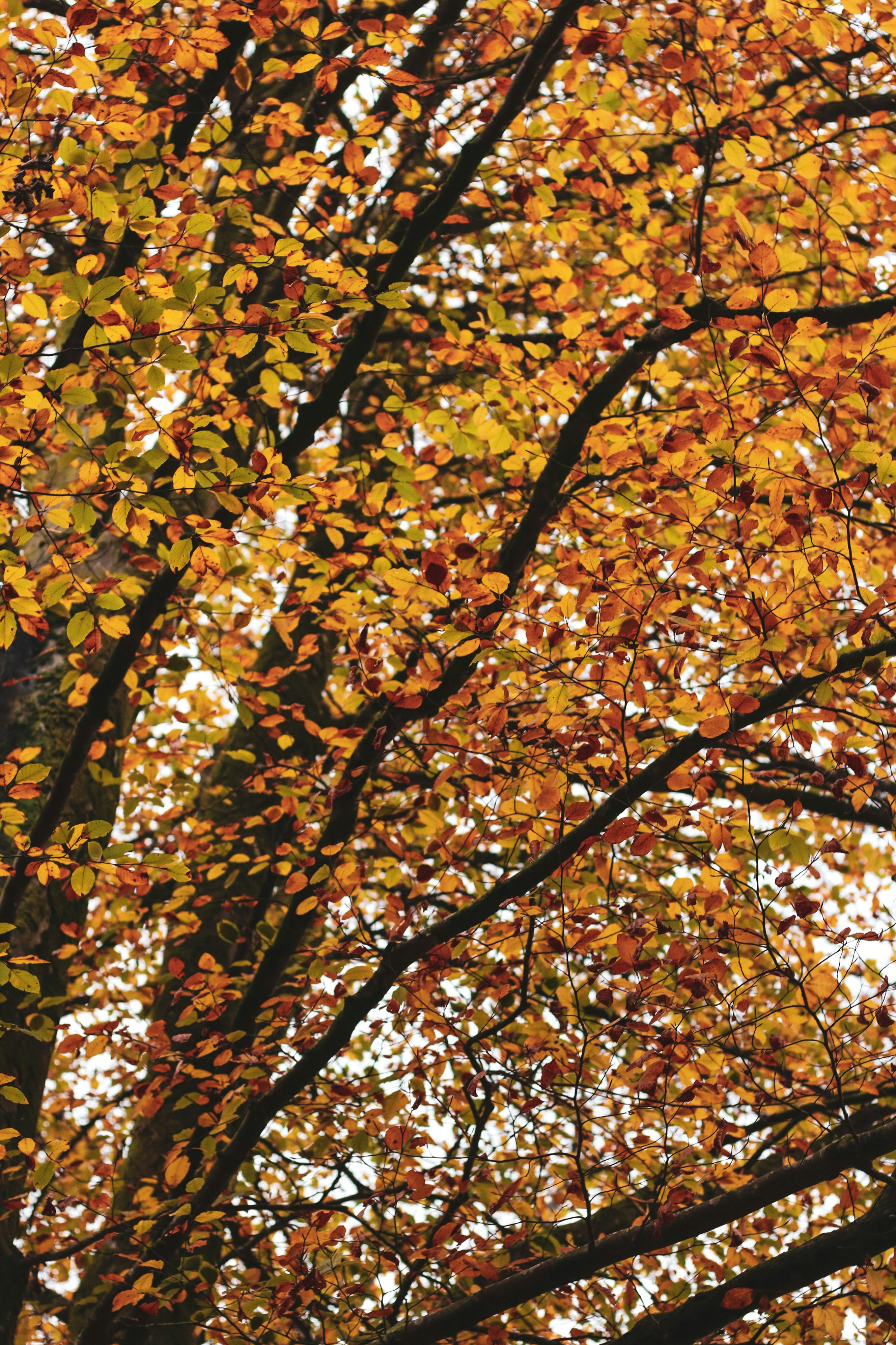 Photo by focalinsight