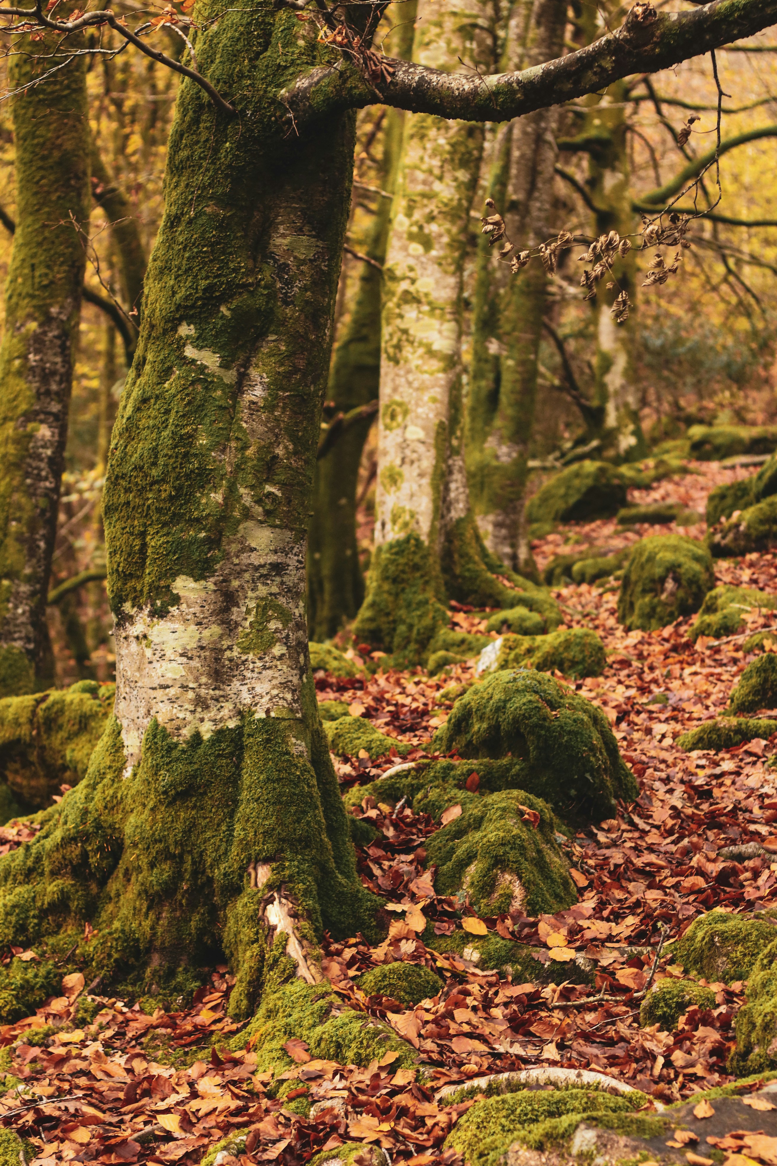 Photo by focalinsight