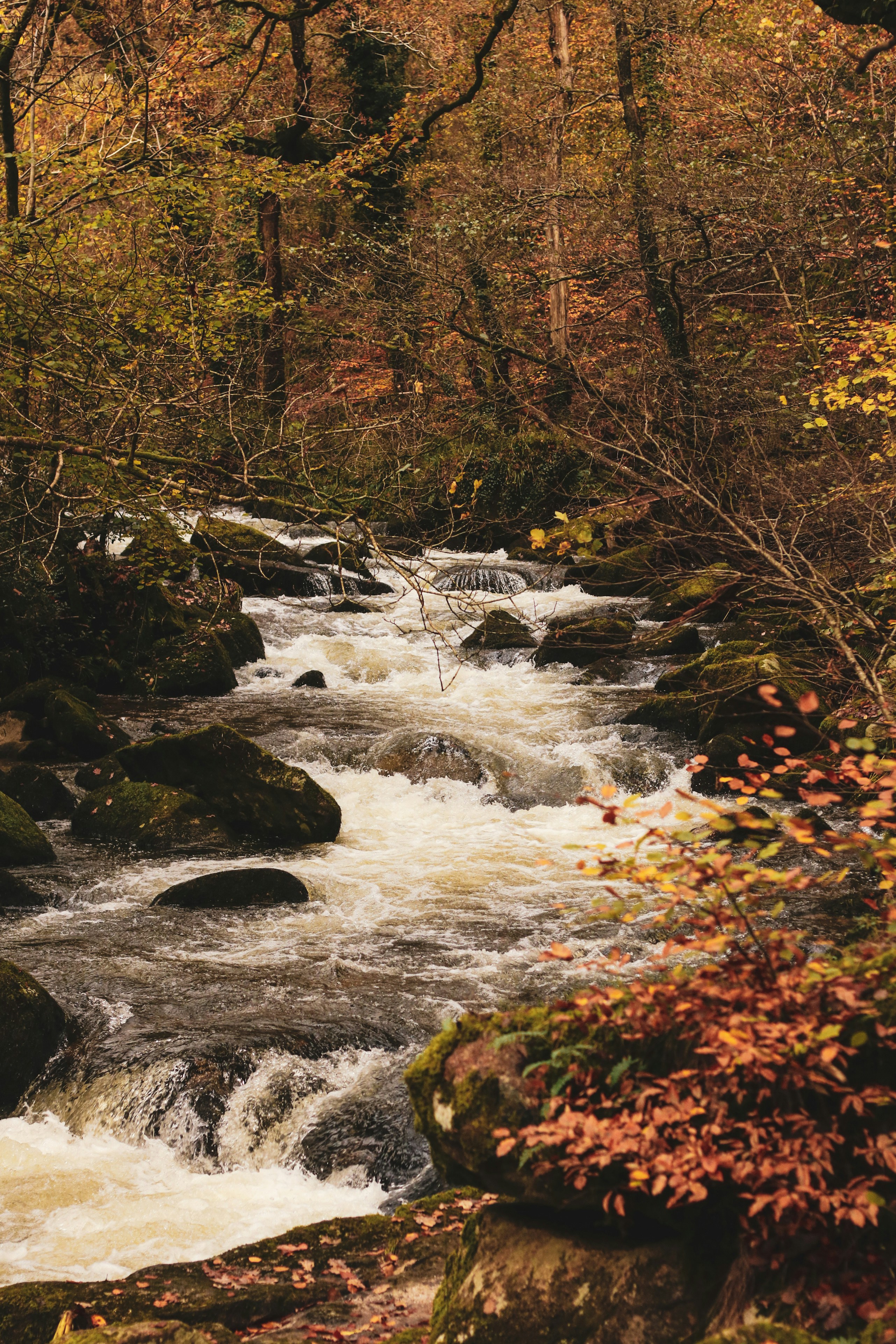 Photo by focalinsight