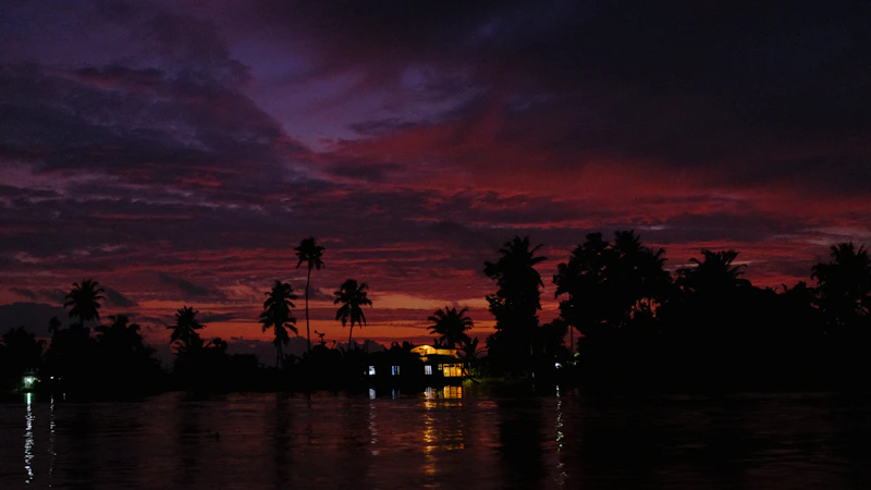 Best Nightlife in Alleppey: A Practical Guide to Going Out
