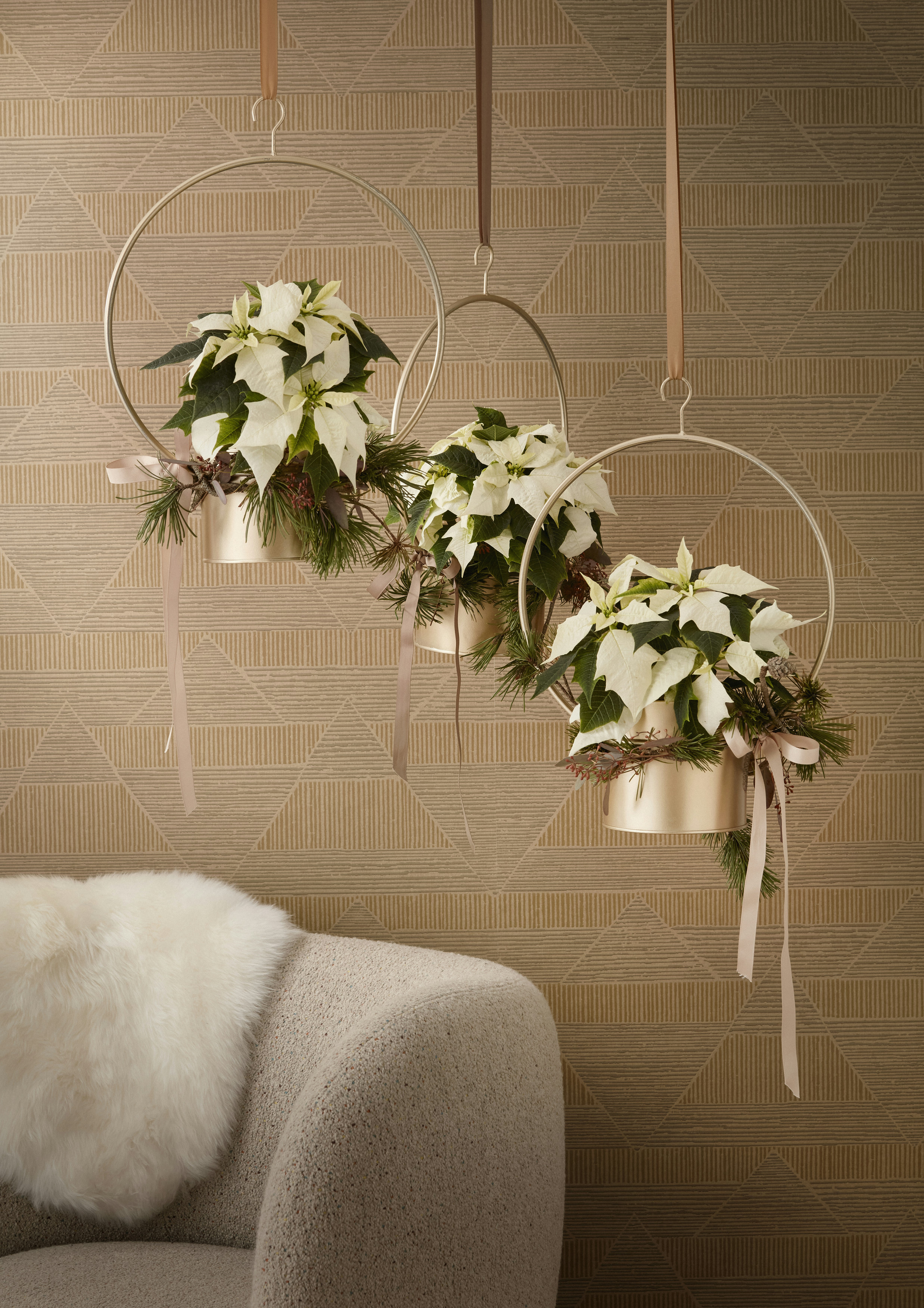 remote img from Unsplash